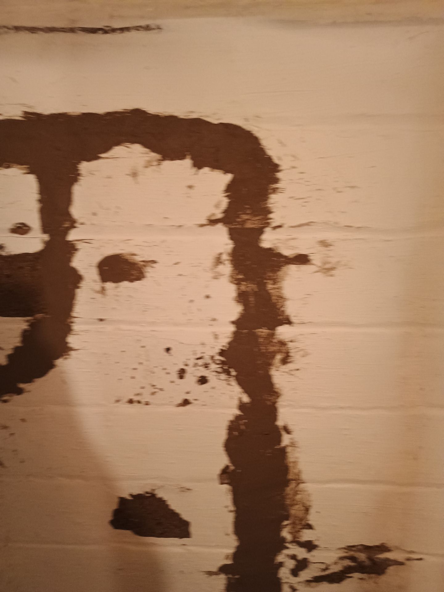 Updating Taylor's Waterproofing System by Waterproofing Northeast