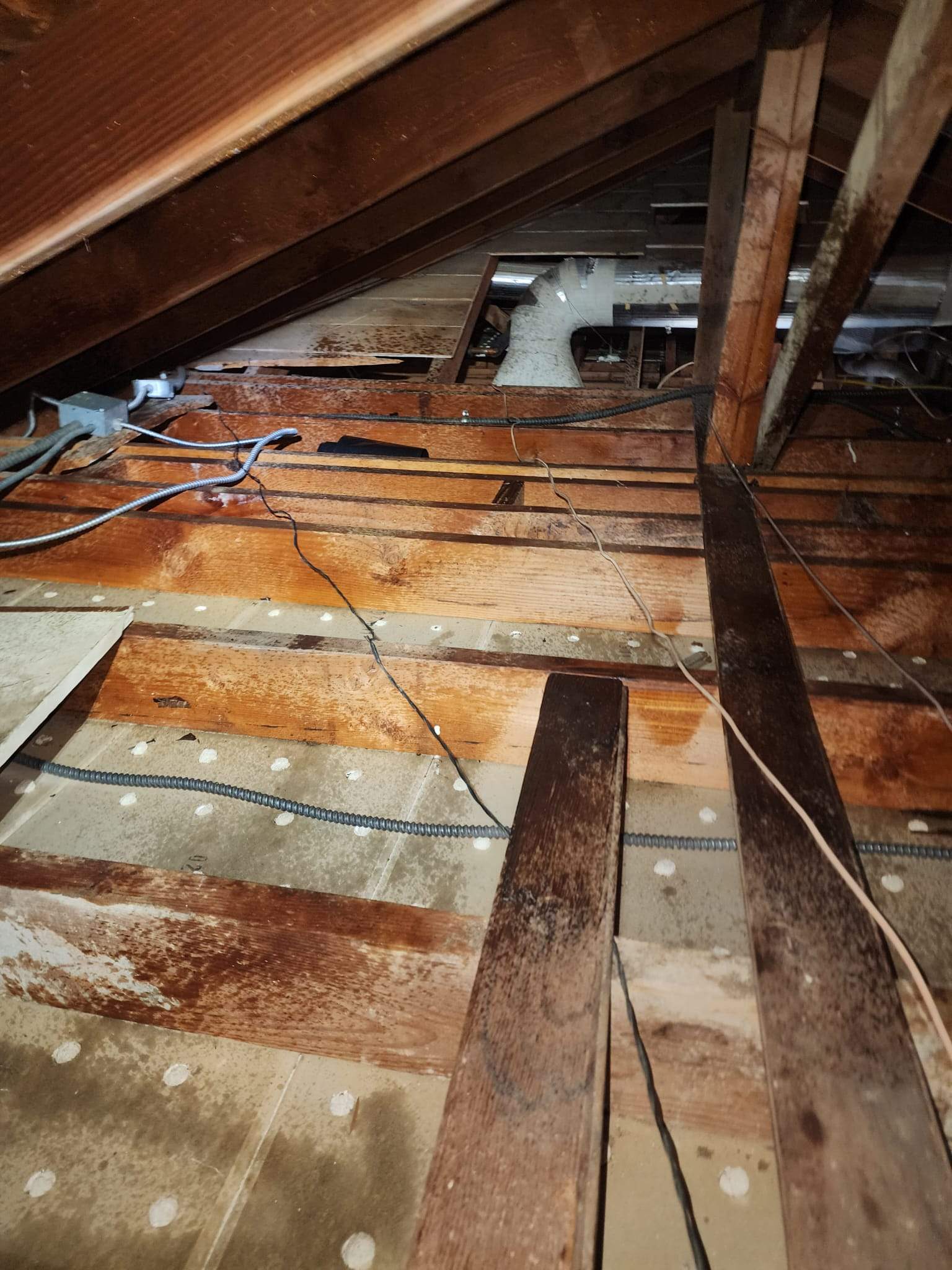 Project by Advanced Attic Solutions by Advanced Attic Solutions