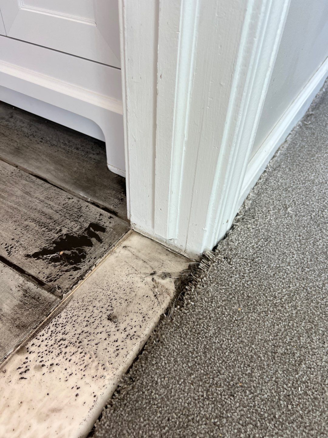 Project in Novi by EzDry Water Mitigation & Property Restoration