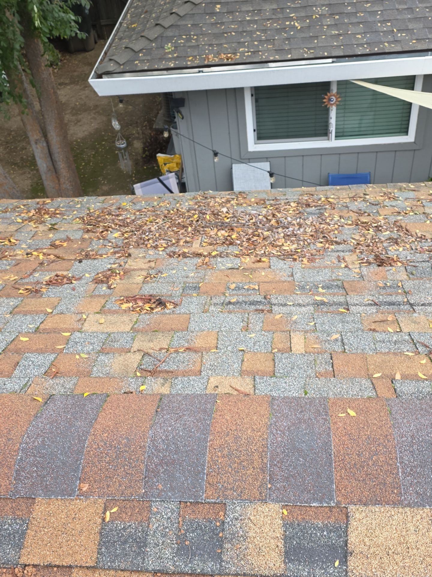 Roof Rejuvenation using Roof Maxx Treatment by Roof Maxx of Folsom