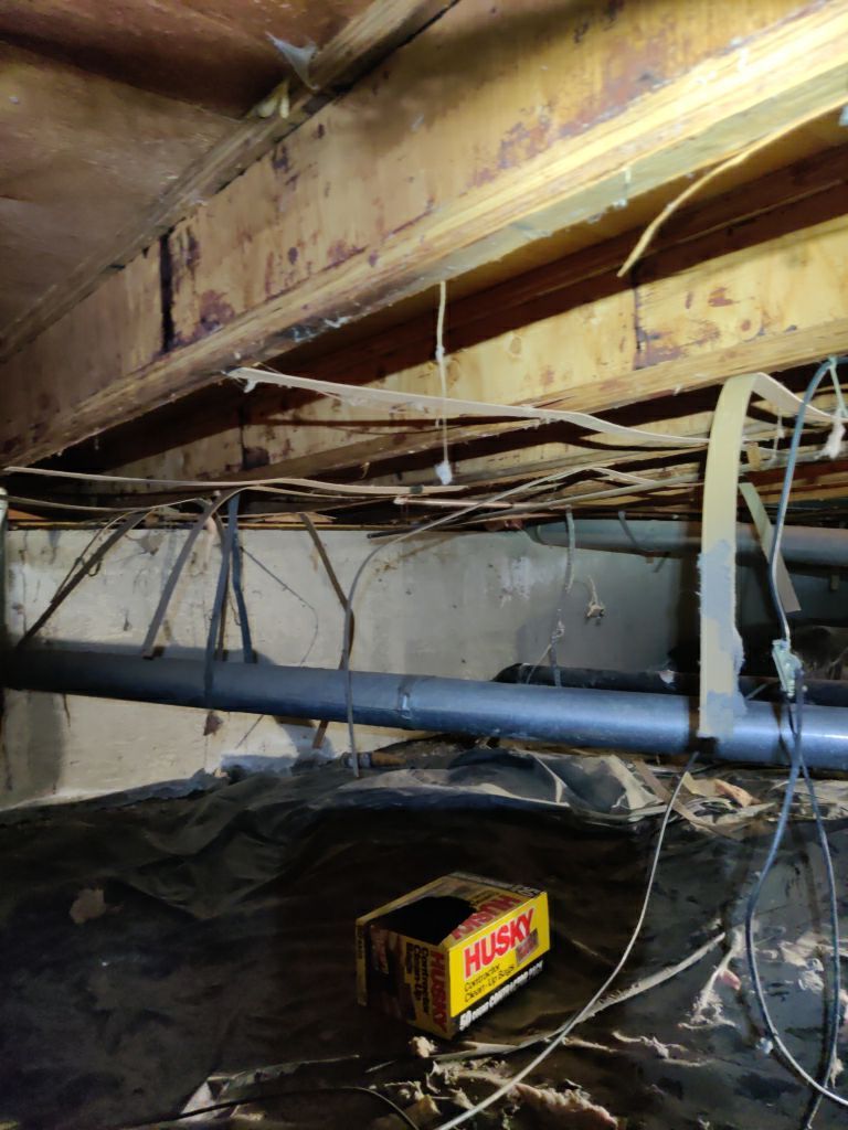 Crawl Space Cleanup  by Accountable Home Services