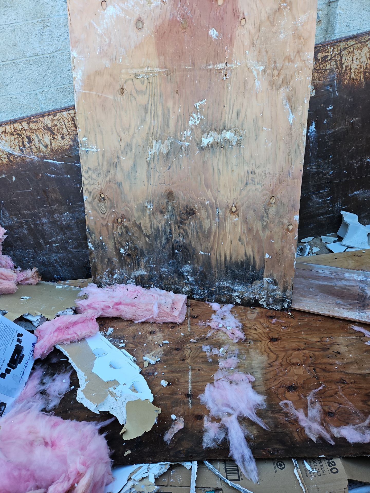 Mold removal and new shower Installation  by Eco-Nature Construction Inc.