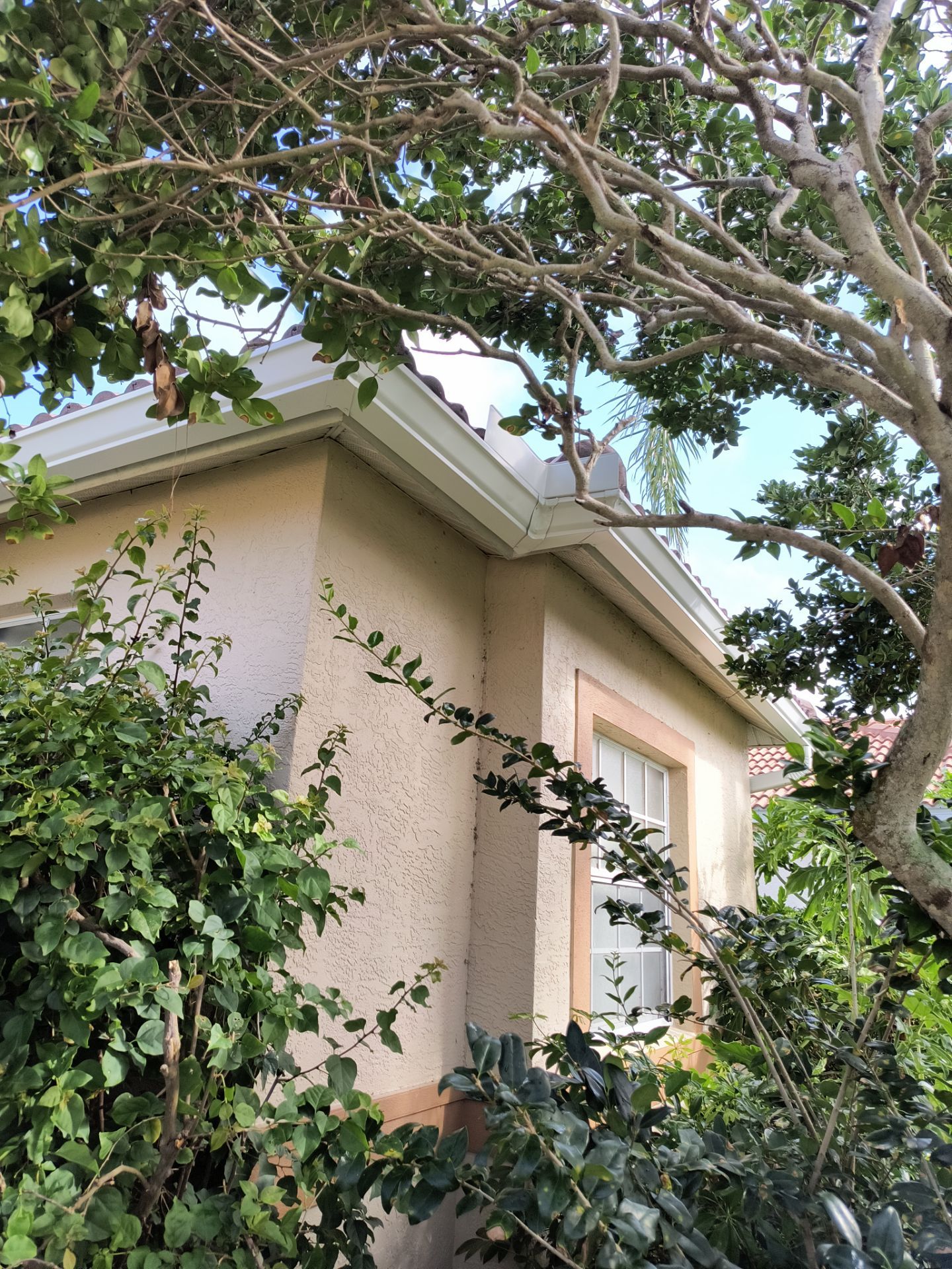 7 inch seamless gutters using K-Style Seamless Gutters in Sarasota FL by Gutter Professors