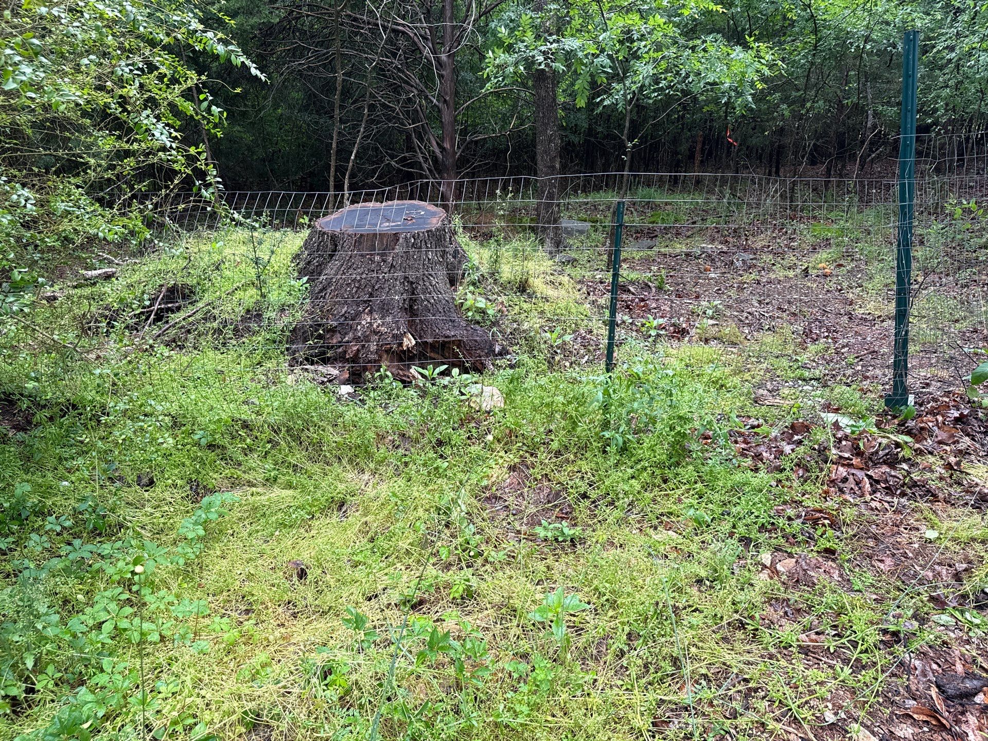 Project in Mint Hill by Badger Hauling