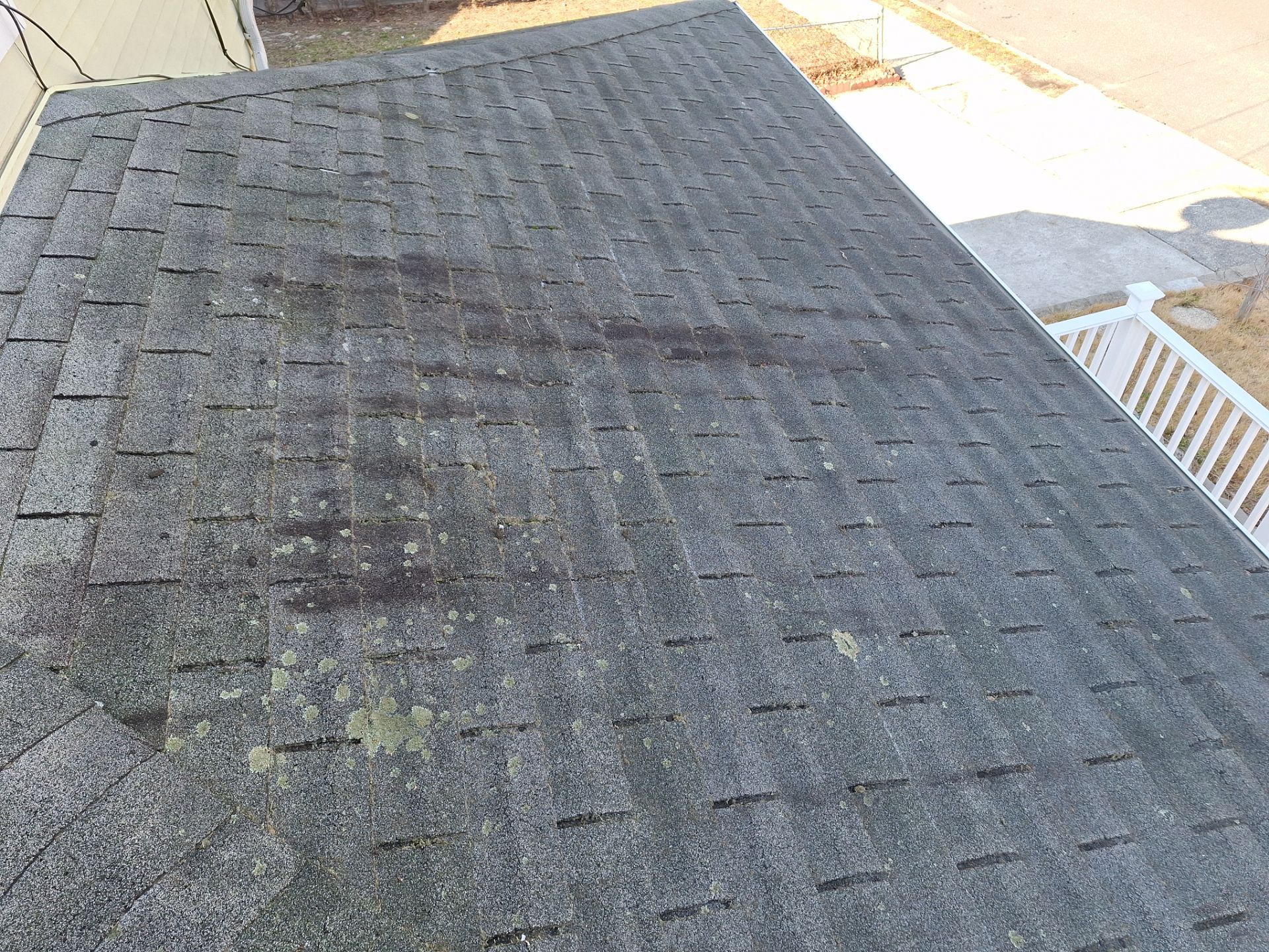 Silver Birch Shingles by Reimagine Roofing