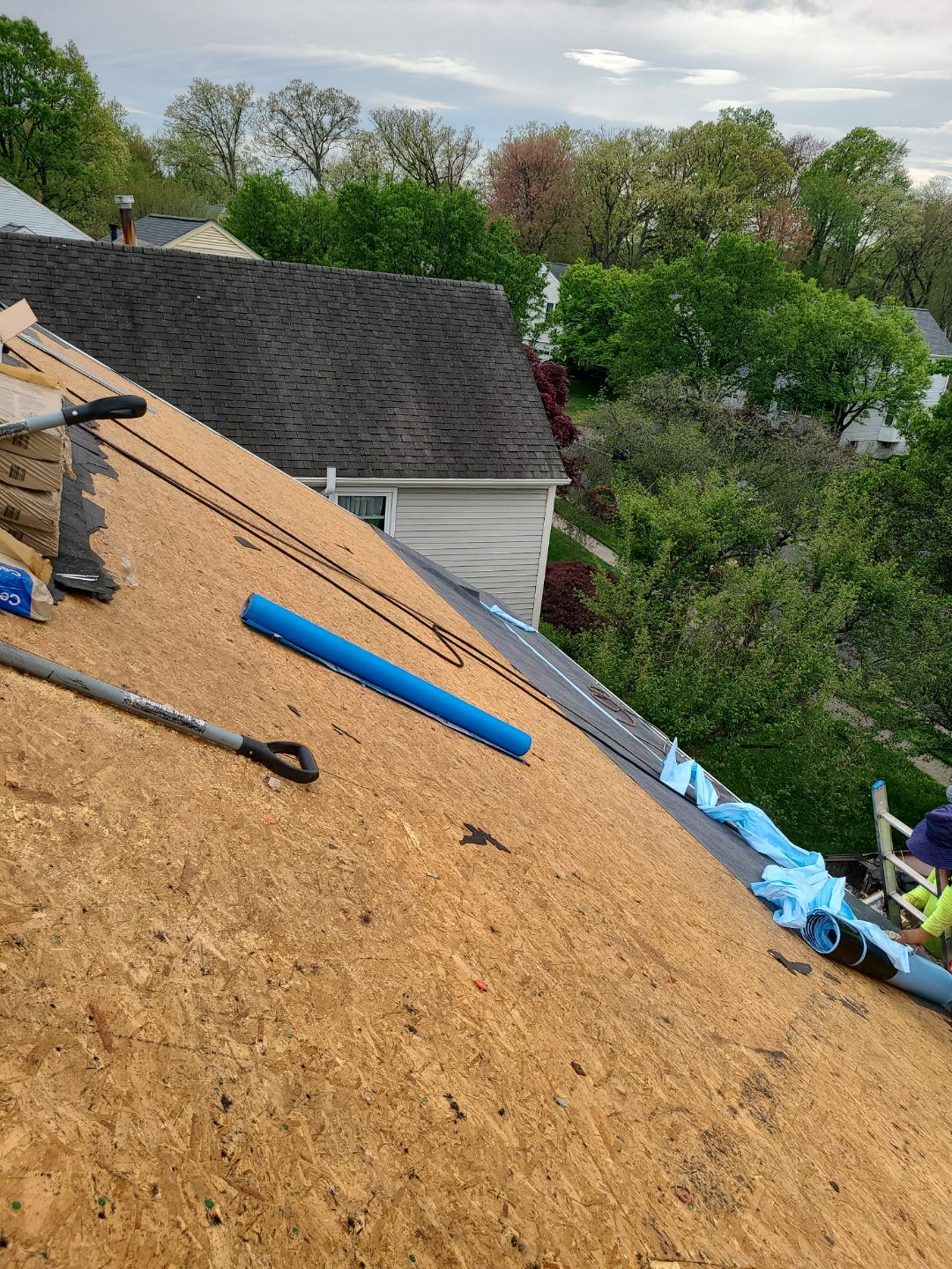 Vienna: CertainTeed Landmark Pro Designer Shingles in Max Def Moire Black by RM Banning, Inc.