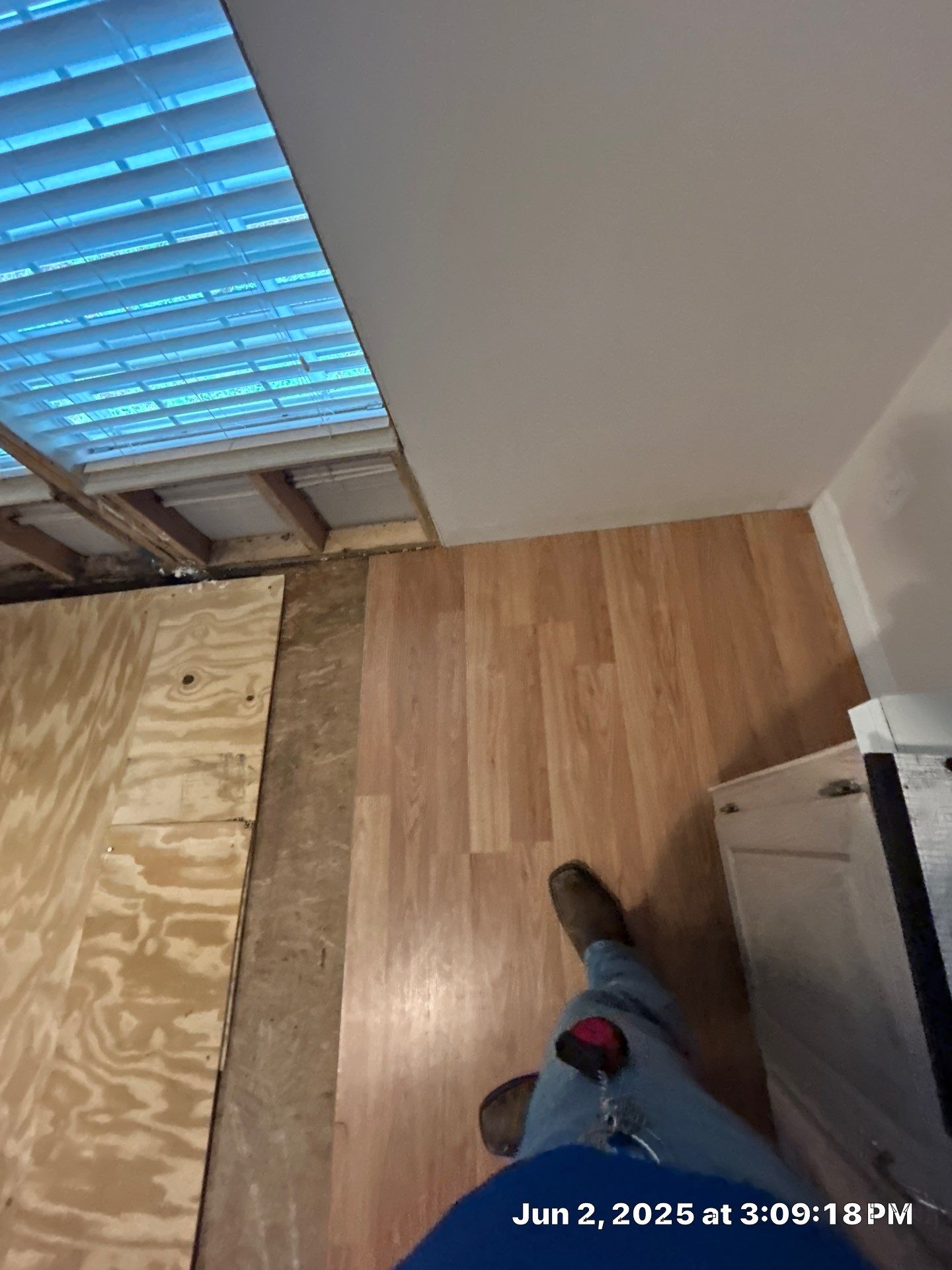 Mold Remediation Palmetto by Ampm Restoration Services 