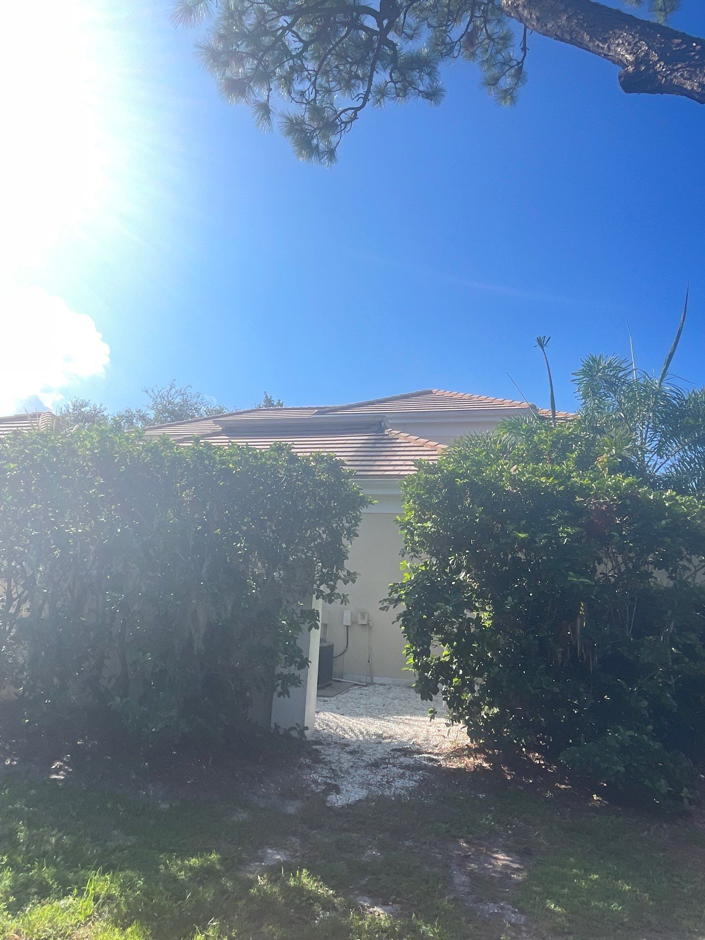 7-Inch Seamless Gutters for Large Roofs in Osprey FL by Gutter Professors