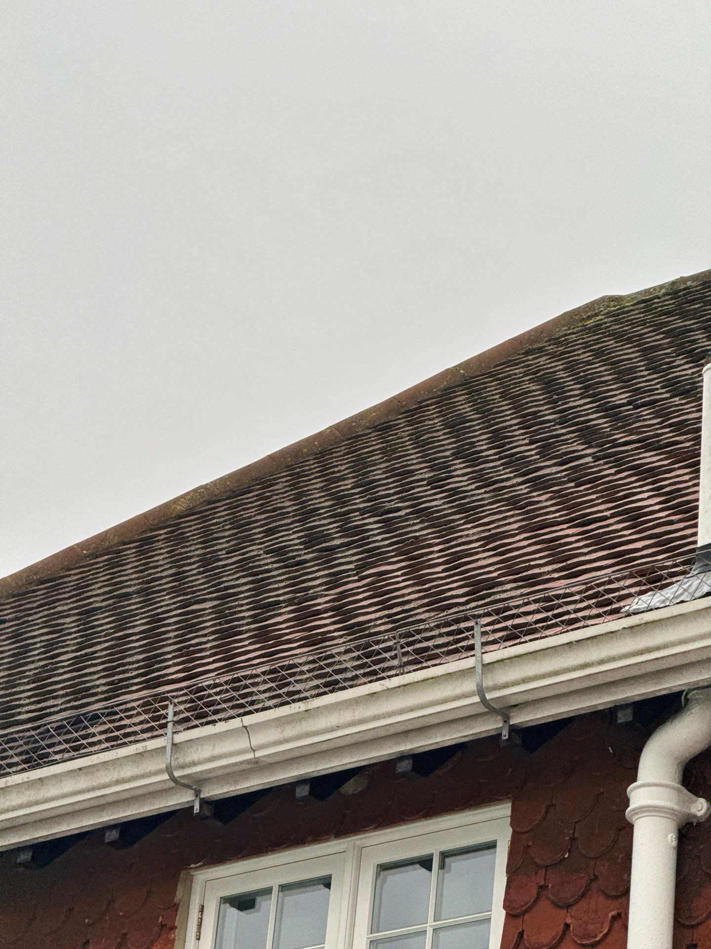 Roof Clean  - Moss Removal - Gutter Clean using Honda 15lpm Low Pressure Washing Machine by Ges Exterior Cleaning ltd