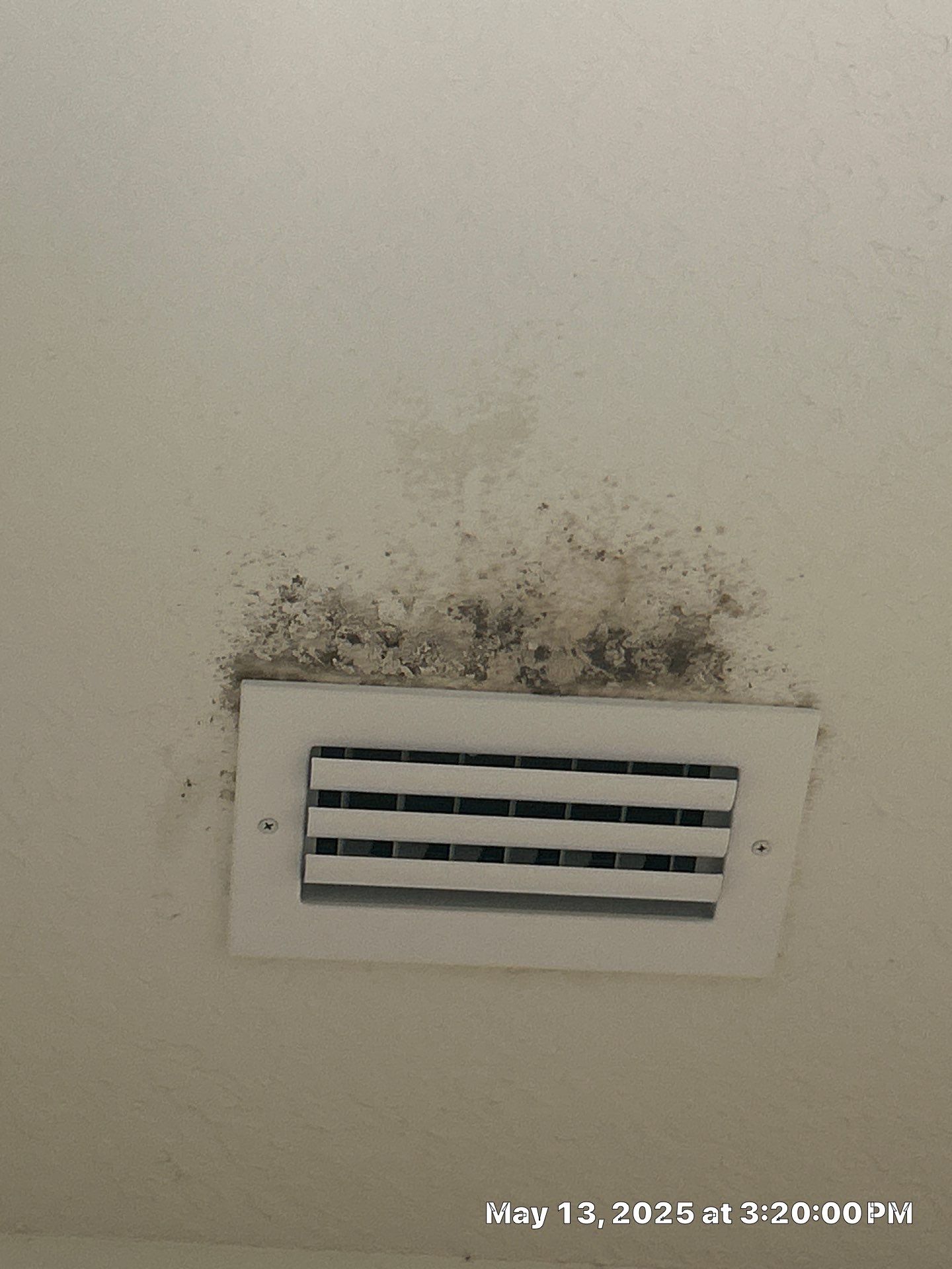 Mold Removal by Ampm Restoration Services