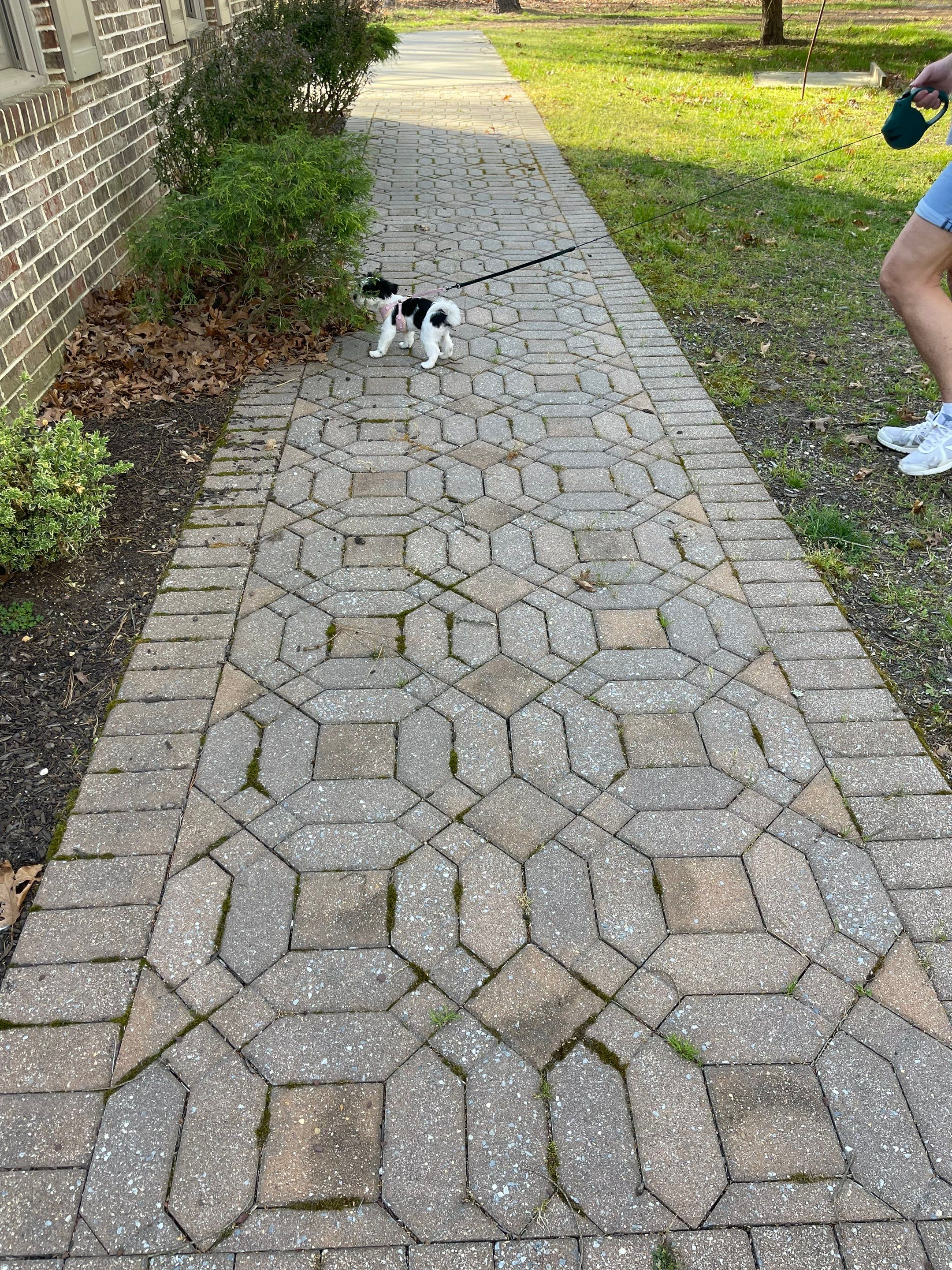 Pavers Cleaned, Garage and Concrete walls by SJ Exterior