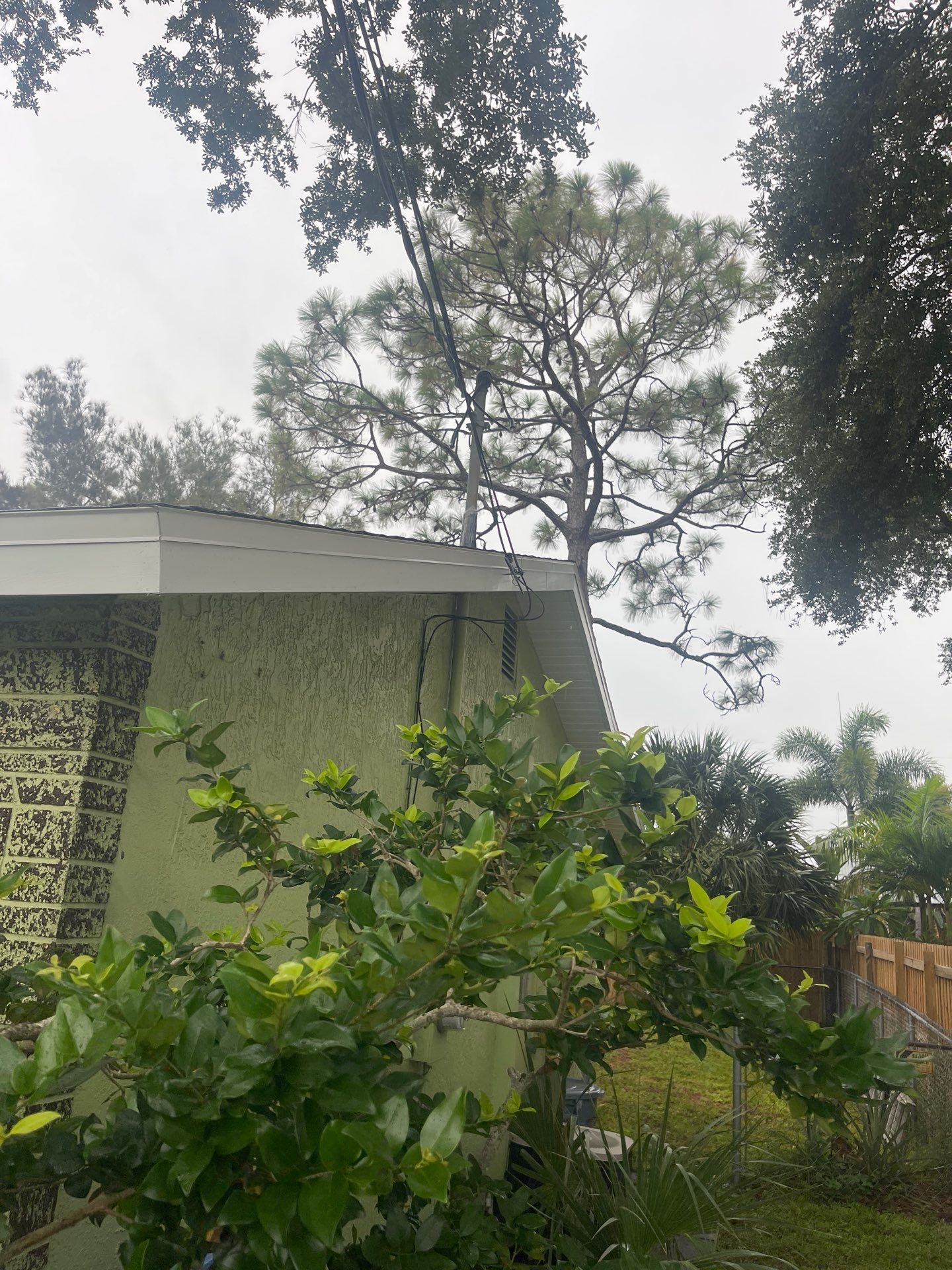 Project in Pinellas Park 33781 by Mitchell Roofing Company LLC