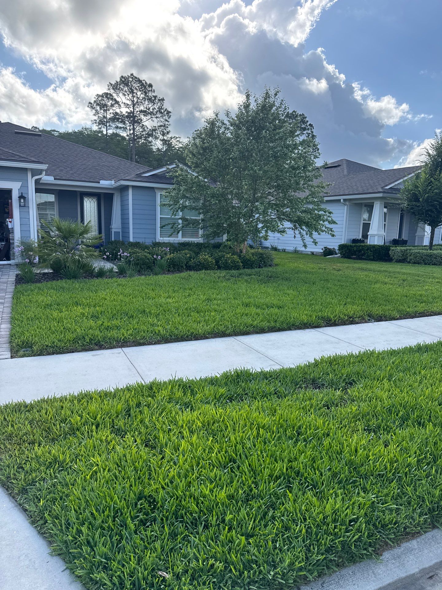 Residential | Topsoil Install & Tree Trimming by ProGreen Services