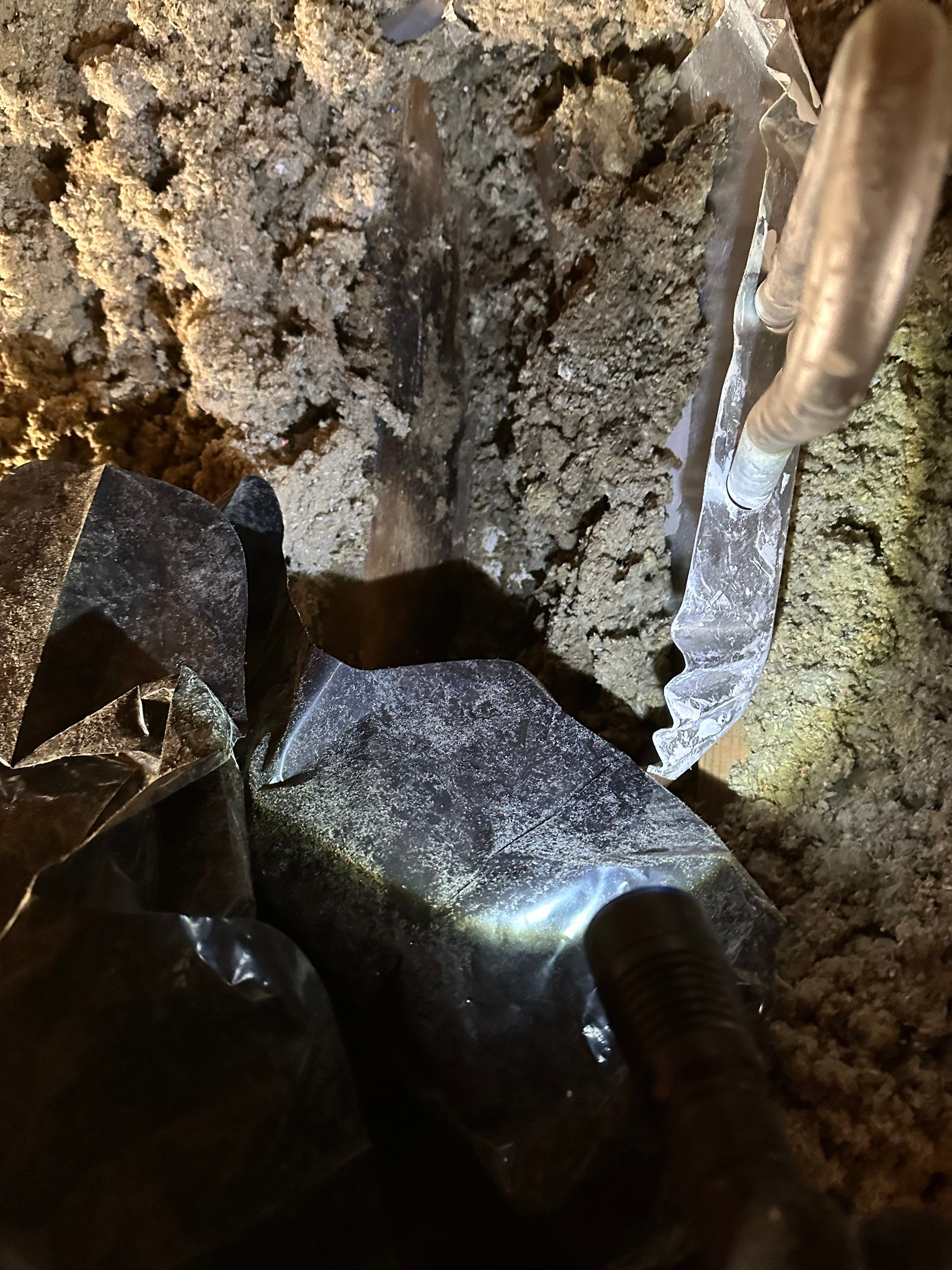 Mold in Crawl Space in Broomfiled, CO by Alpha Restoration 
