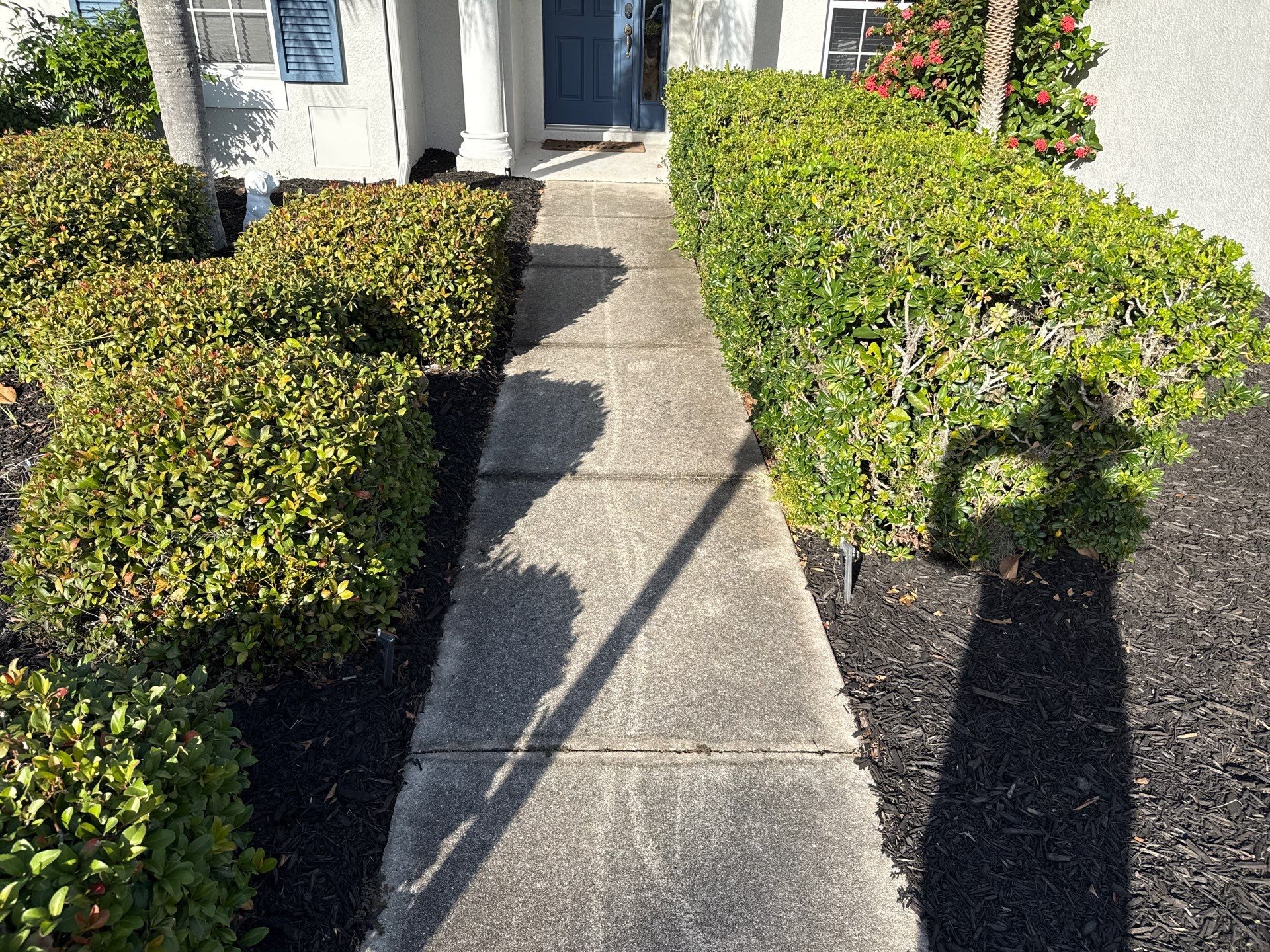 Concrete Driveway & Walkway Transformation | Northwood Park, Palmetto FL by Sunshine AquaWash
