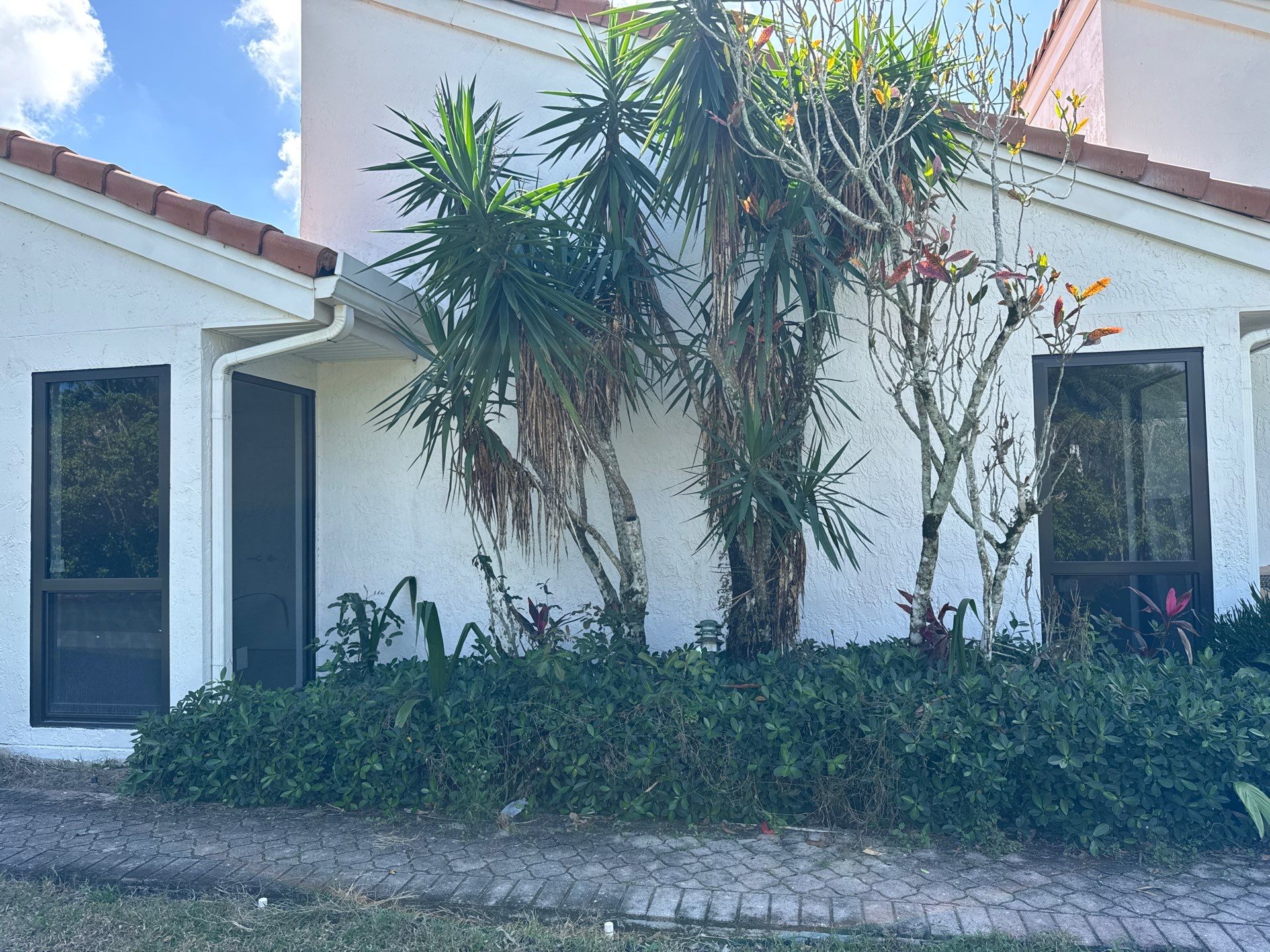 BMG 19500 Project  by Florida Storm Protection Unlimited