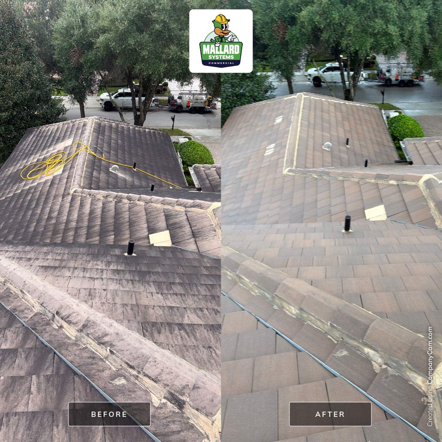 Tile Roof Cleaning in Winter Park by Mallard Systems