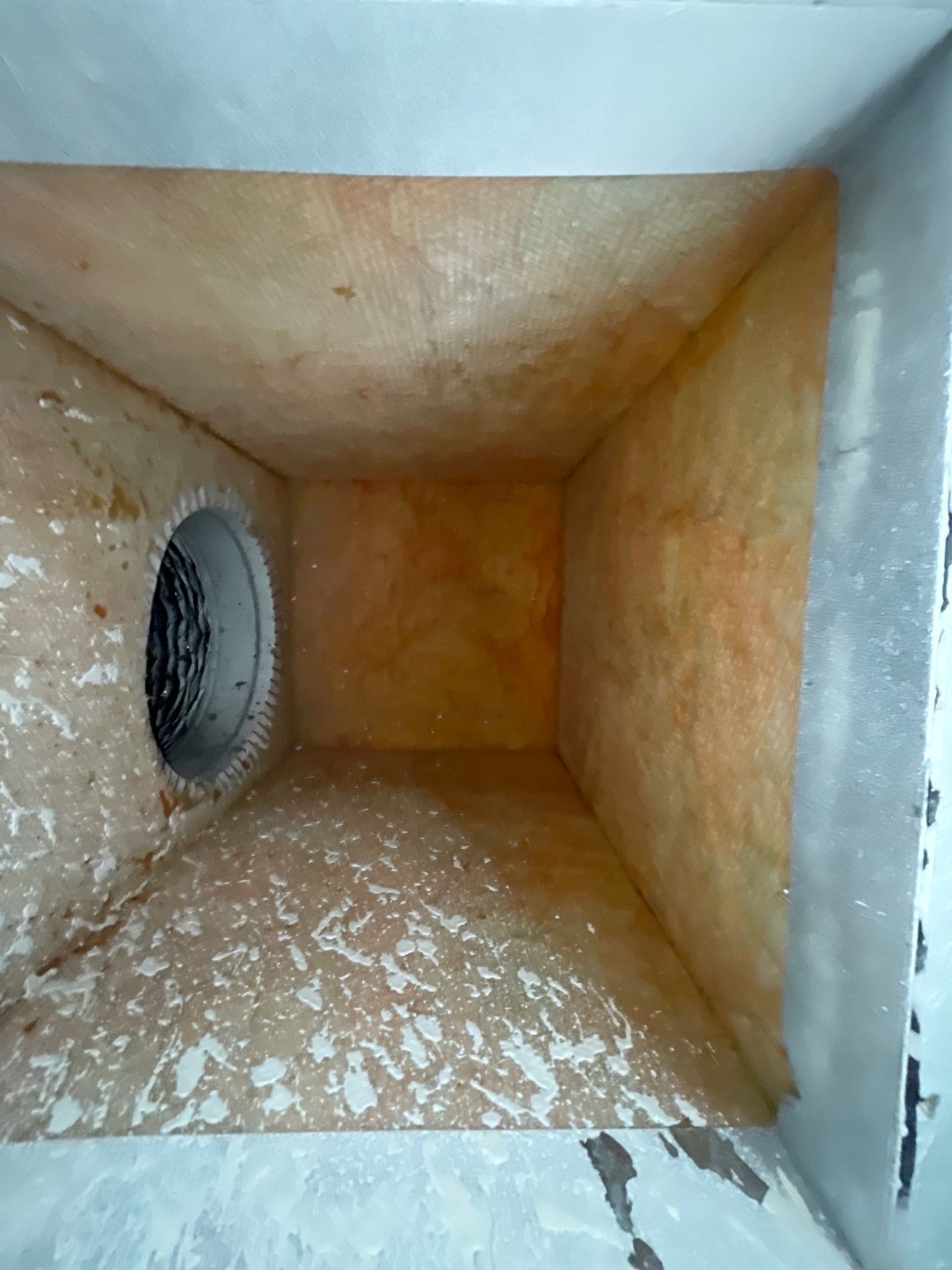 Air Duct Cleaning in Bartow by Hygienic Air, Inc