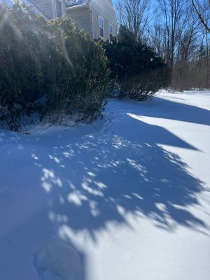 Project in Upper Black Eddy