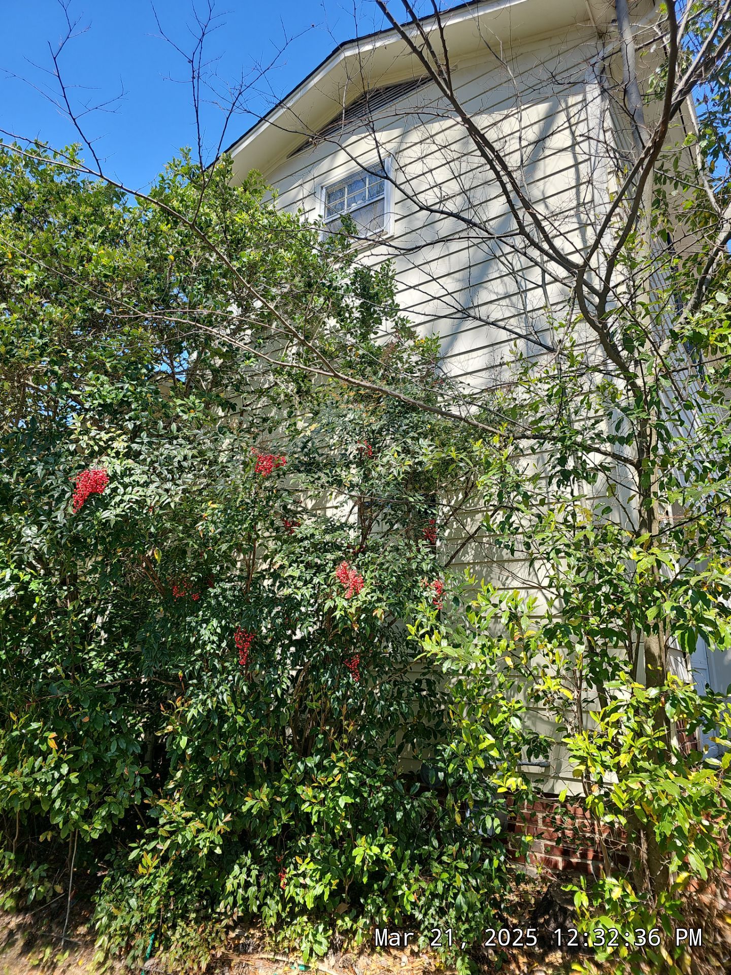 Project in Mountain Brook by The Window Source