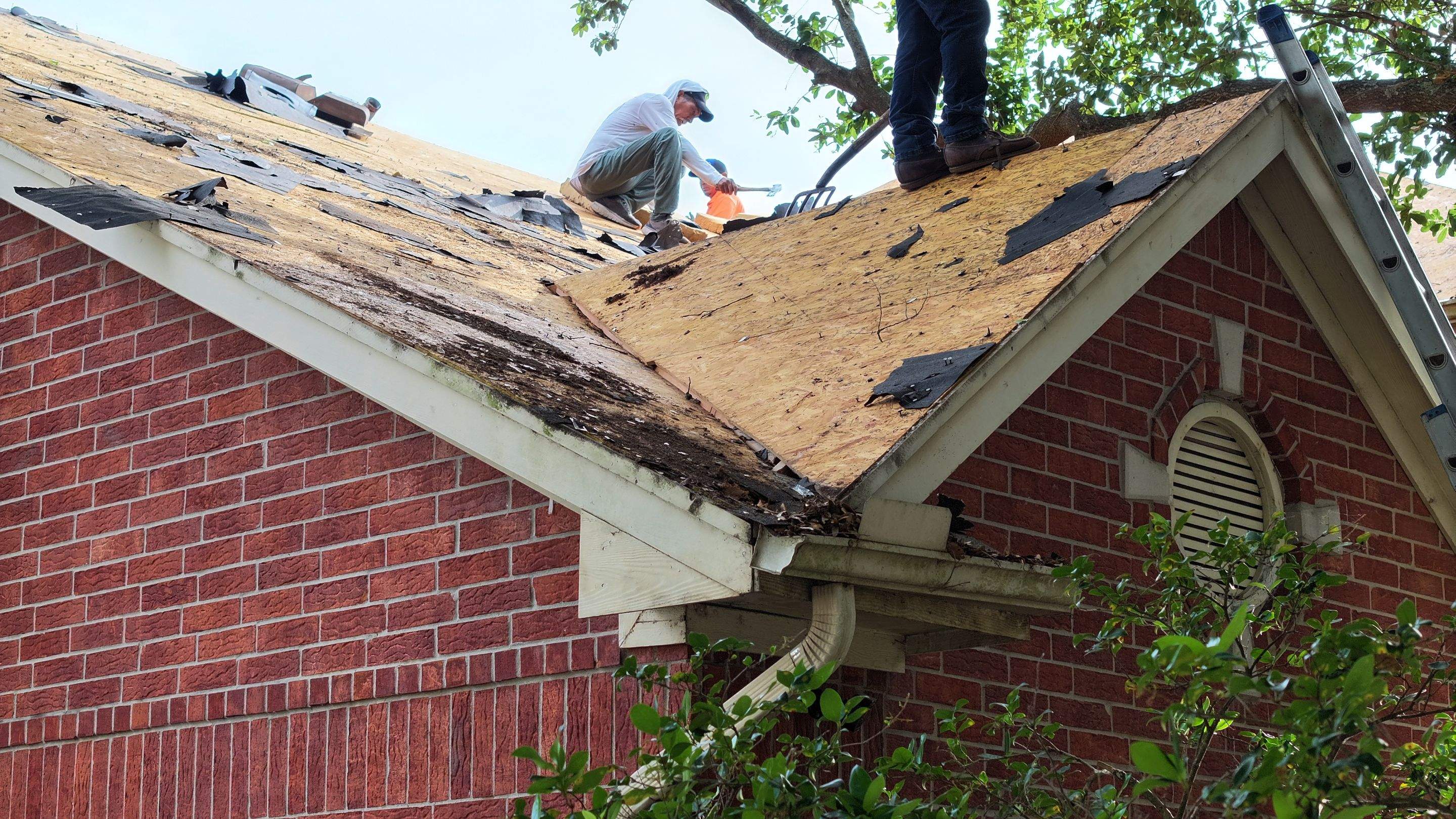 Autumn Brown Shingle Roof Replacement — Houston, TX by PL Roofing & SB Roofing, LLC.