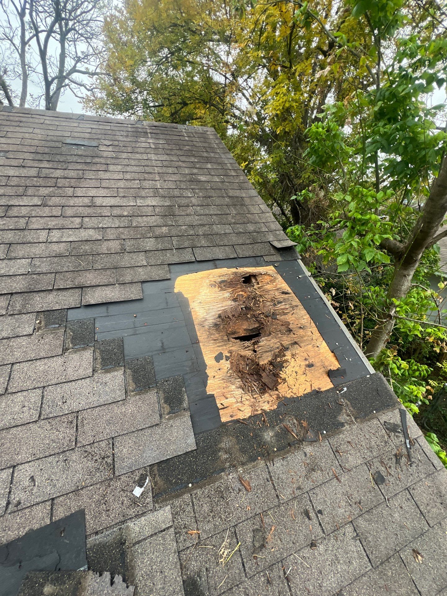 Roof Repair Houston by Roof Repair Company