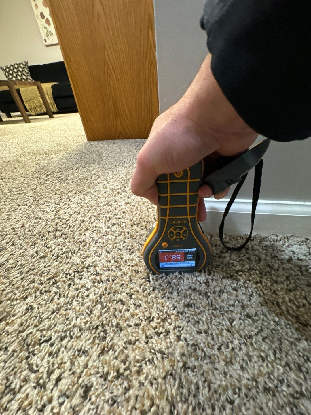 Project in South Lyon by EzDry Water Mitigation & Property Restoration