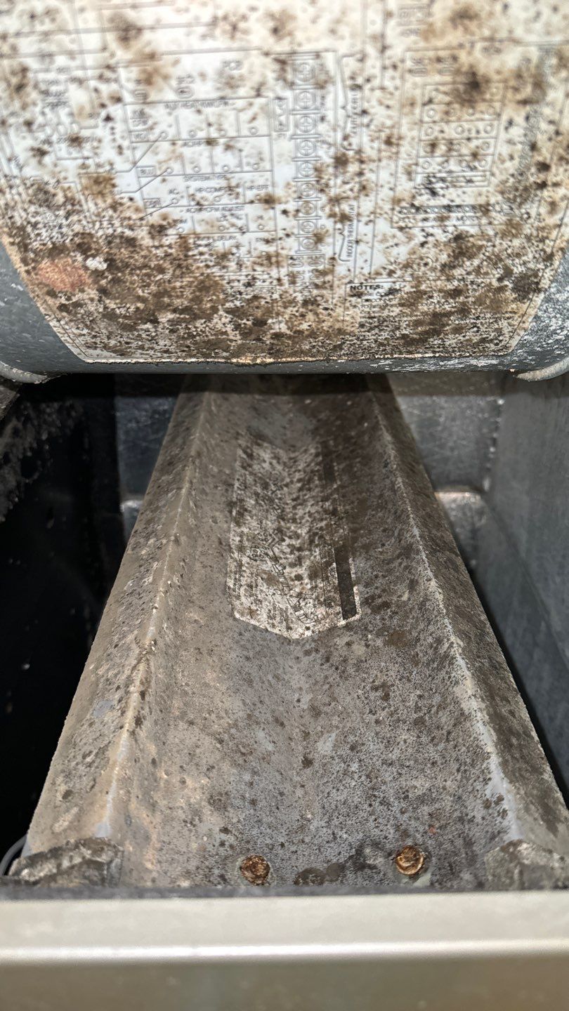 Air Duct Cleaning in Tavares by Hygienic Air, Inc