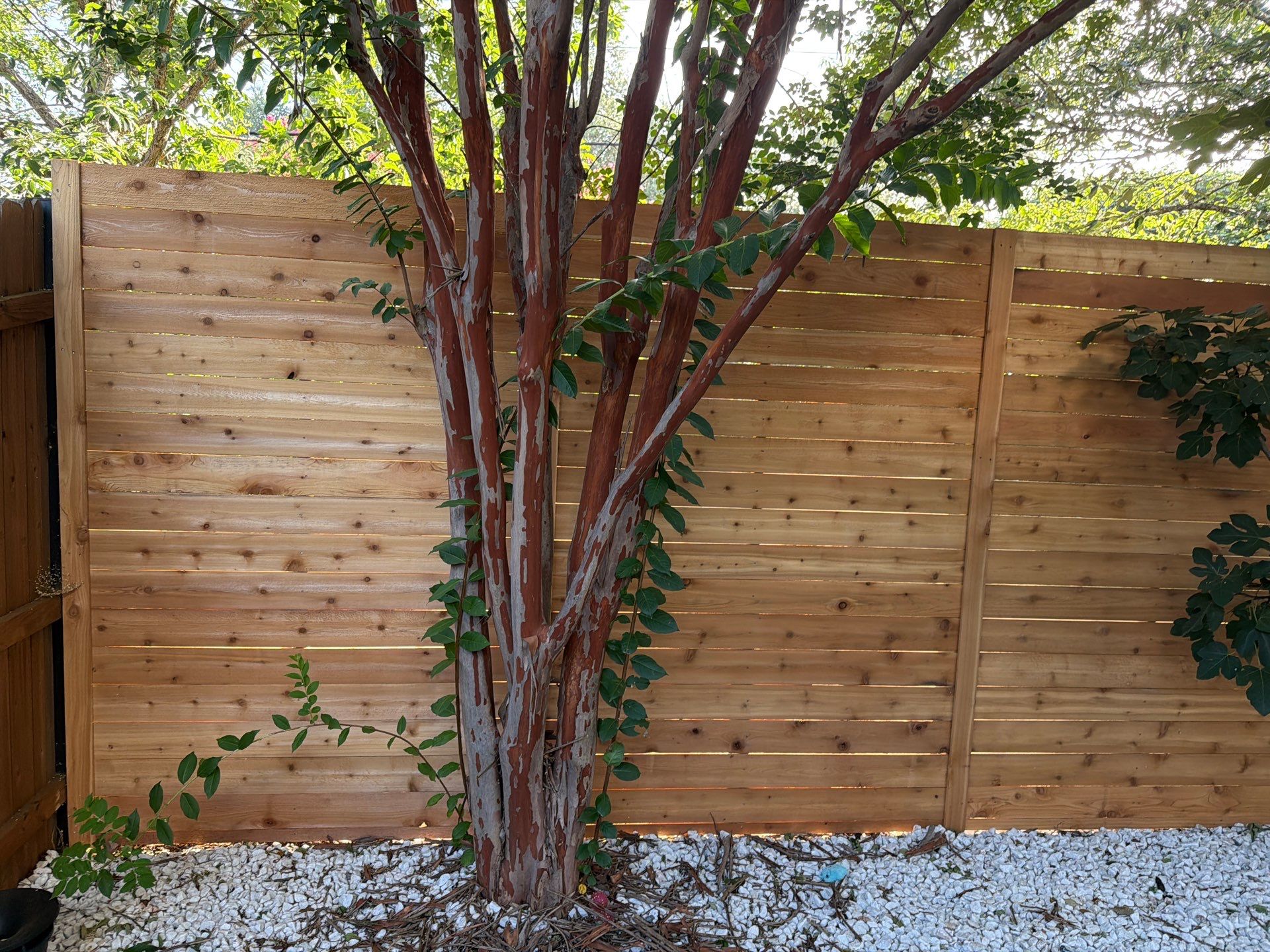Custom Horizontal Cedar Privacy Fence and Gate Installation in Austin by Rhino Home Care