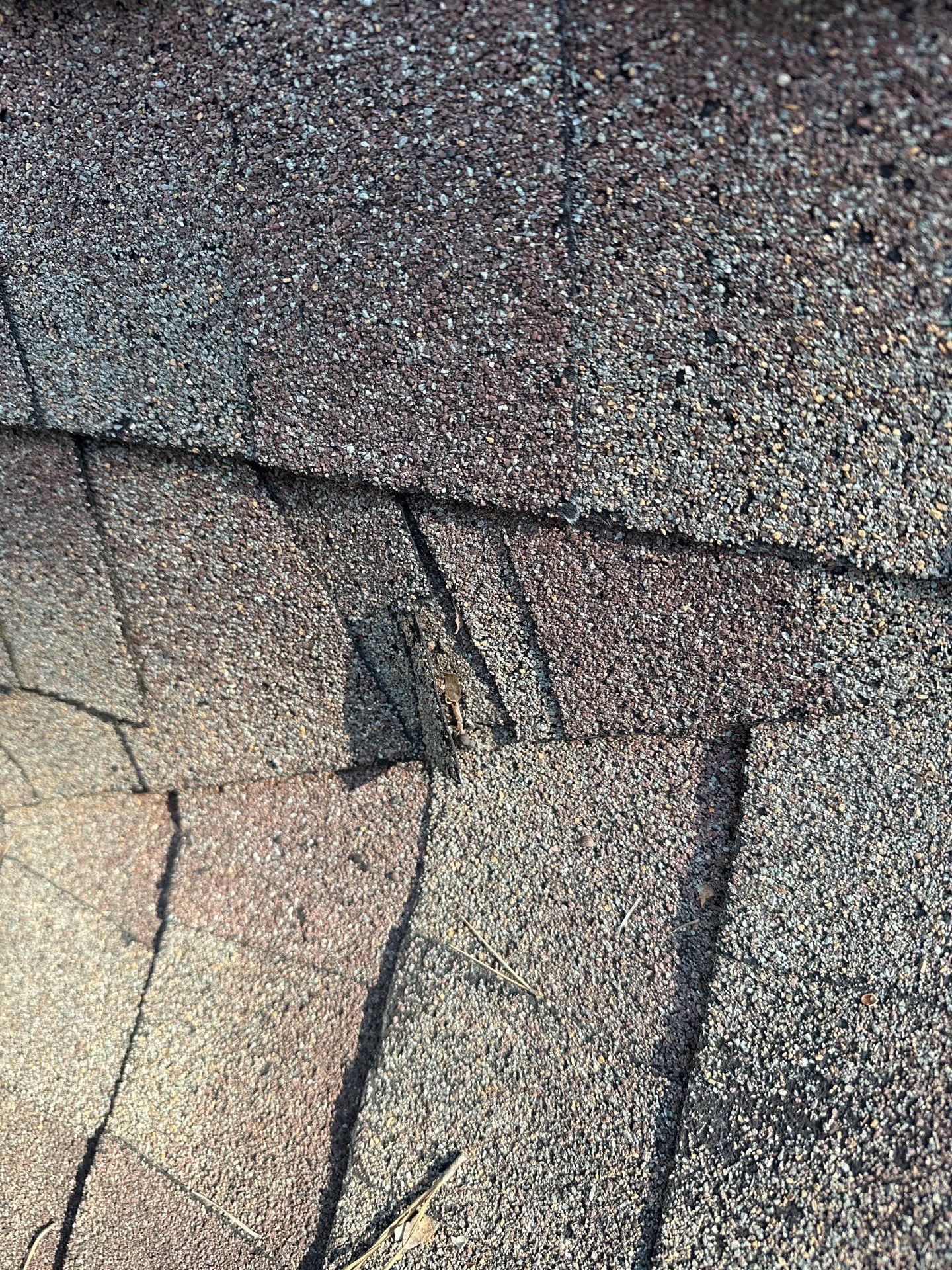 The Cribbs by United Contracting and Roofing