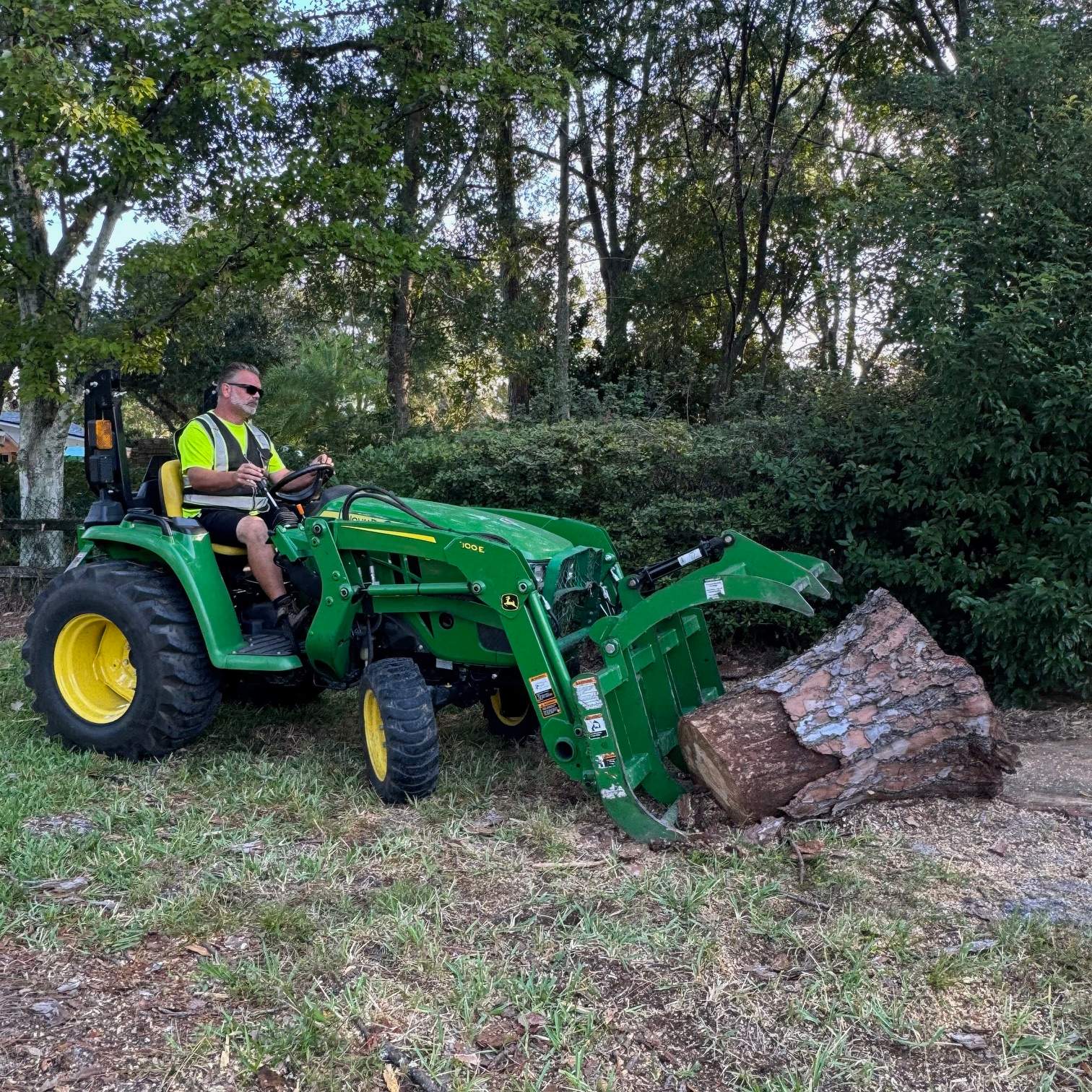 Deerwood Community | Dead Pine Removal by ProGreen Services