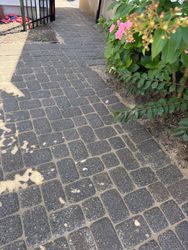 Paver Re-Leveling in Madison, NJ — Gallo Bros job photo