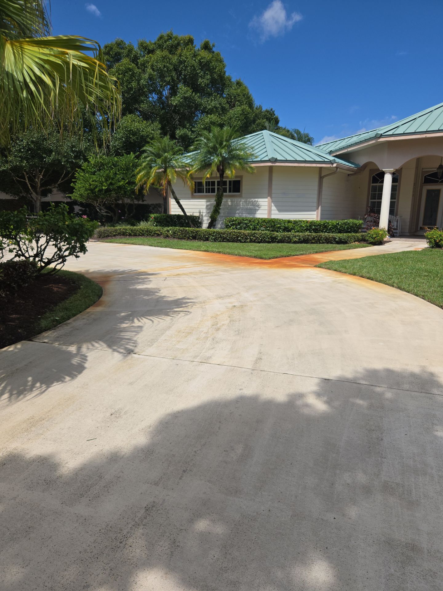 🌴 A Masterclass in Proper Palm Tree Cleaning & Trimming in Palm City Community by Alpha Zeta Enterprises Inc