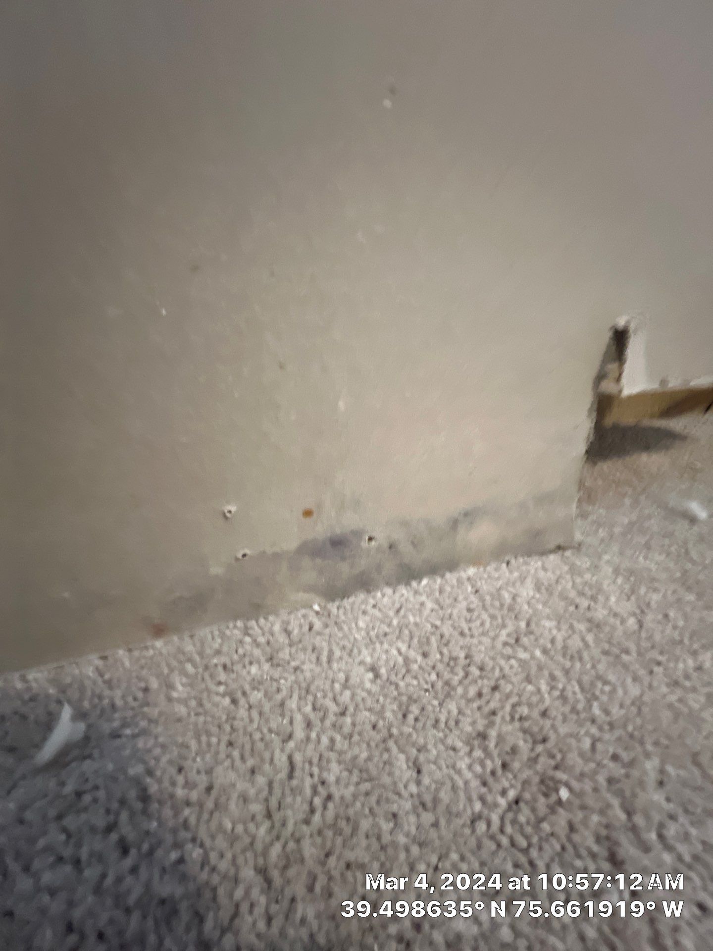 Water Damage Inspection & Basement Dryout – Middletown, DE by Healthy Home Solutions