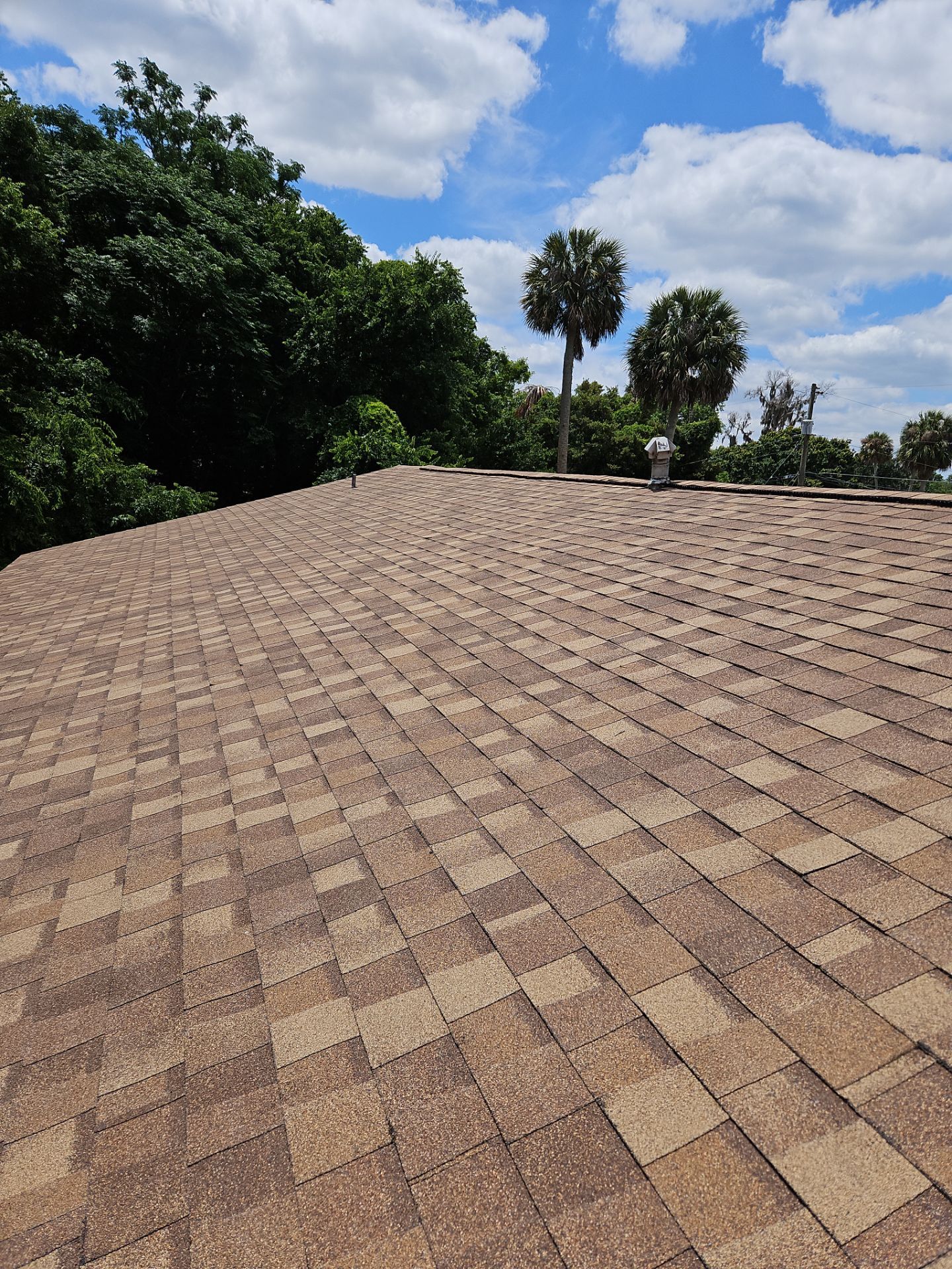 Shingle Reroof Replacement Apopka FL by Pinnacle Roofing Group