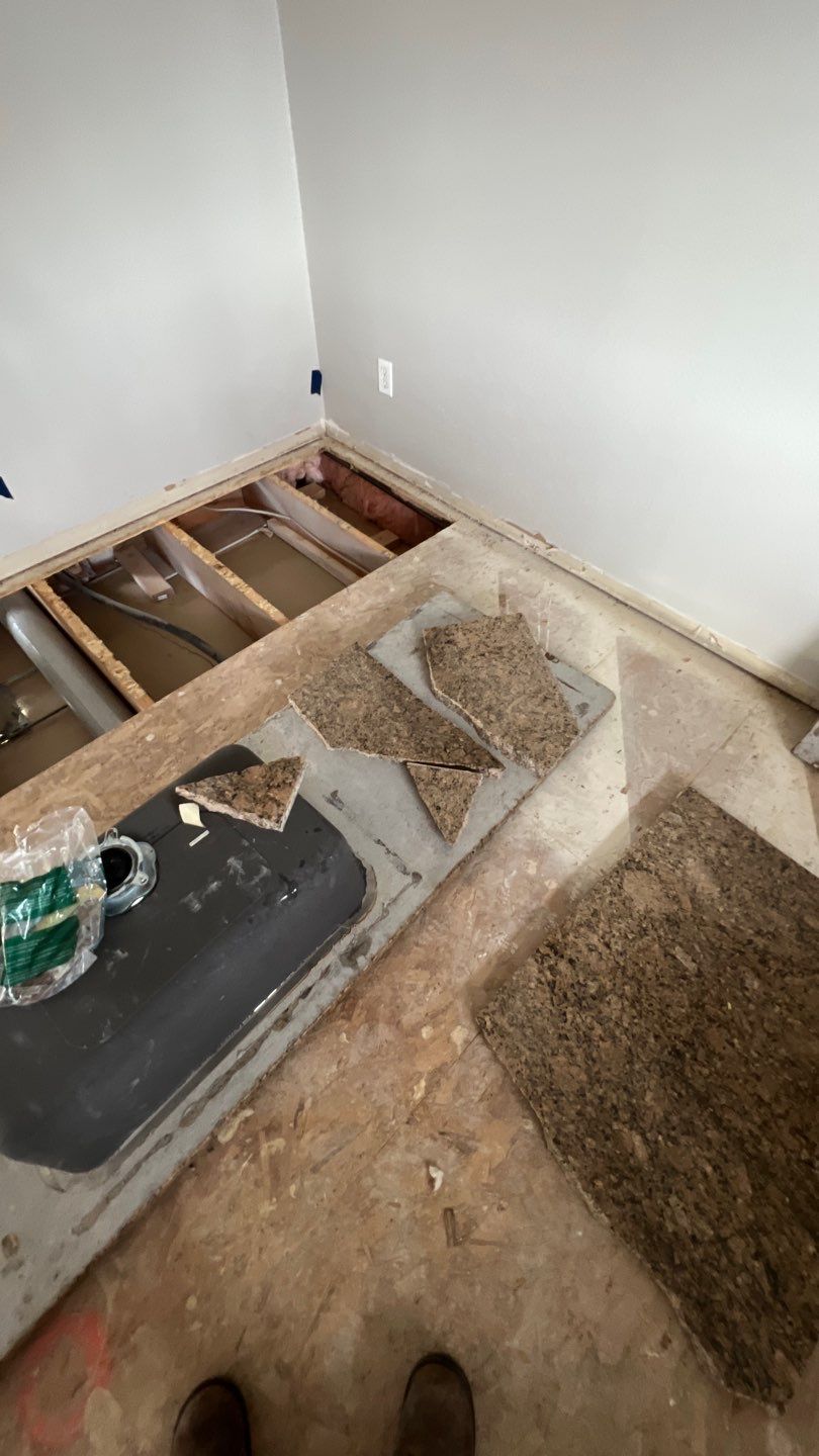 Mold Remediation by Accountable Home Services