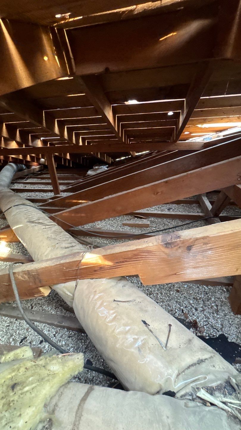 Willa Holmstock by NuLead Construction Inc