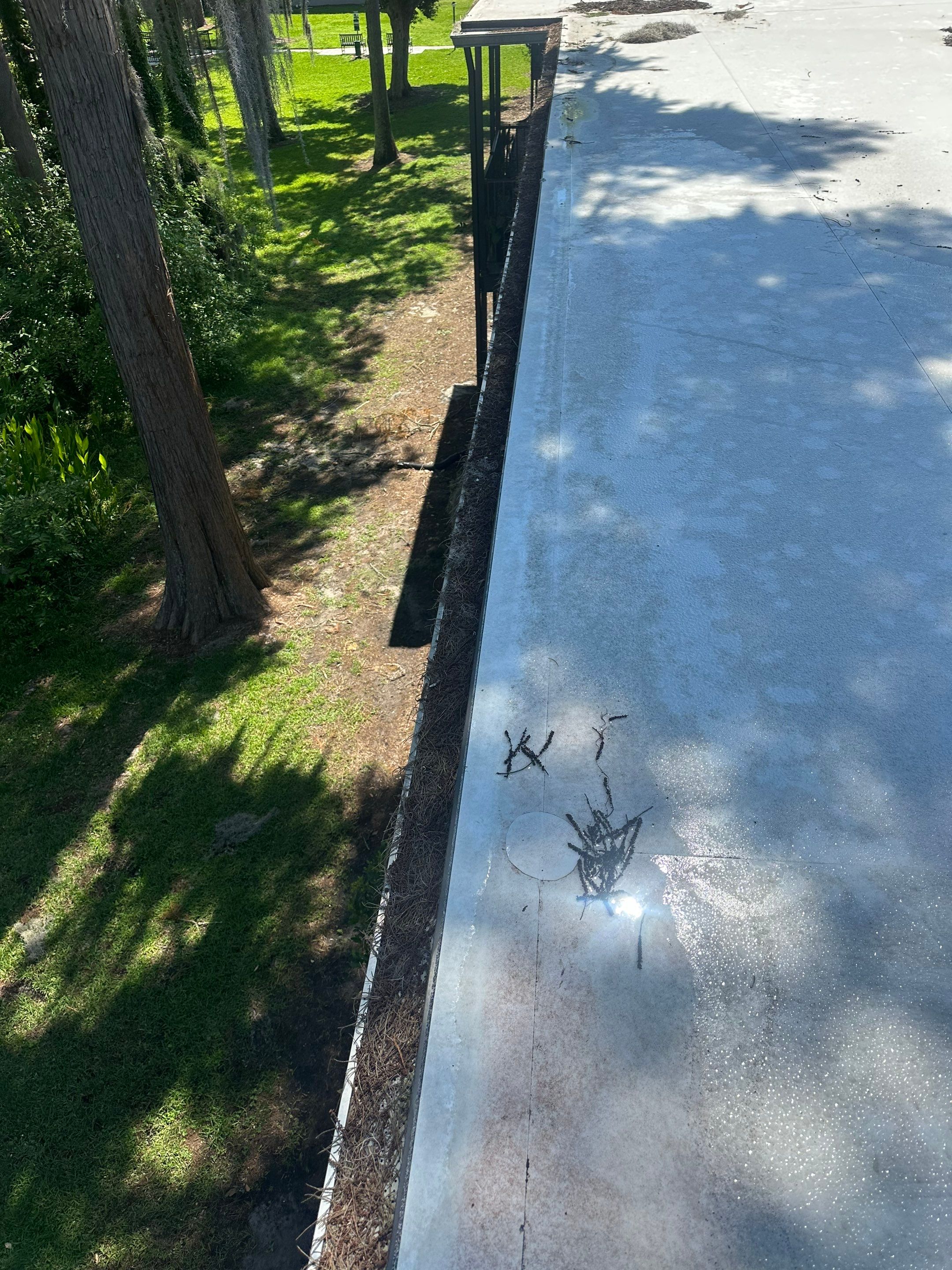 Commercial gutter cleaning Gainesville, FL before photo with filled gutters