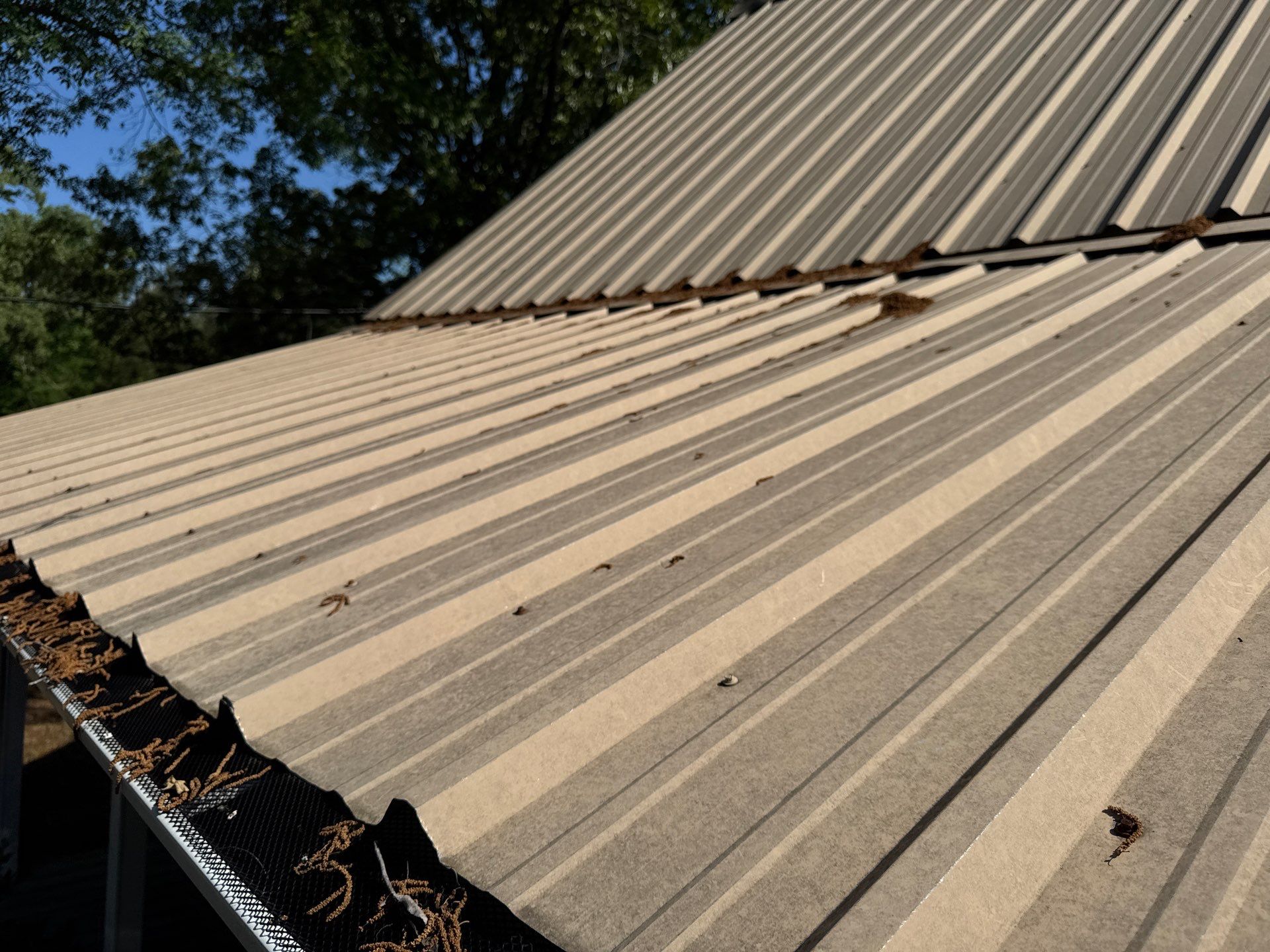 Roof Replacement in Cottondale (Light Stone) by The Roofing Dudes