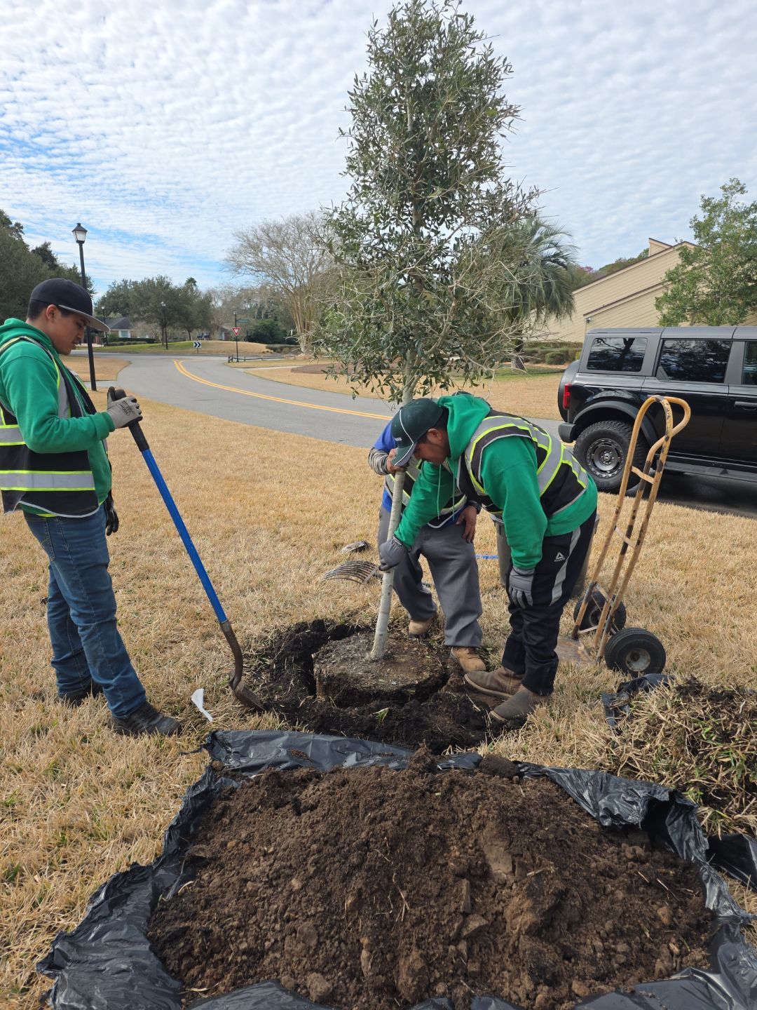 Deerwood Resident | Tree Install by ProGreen Services