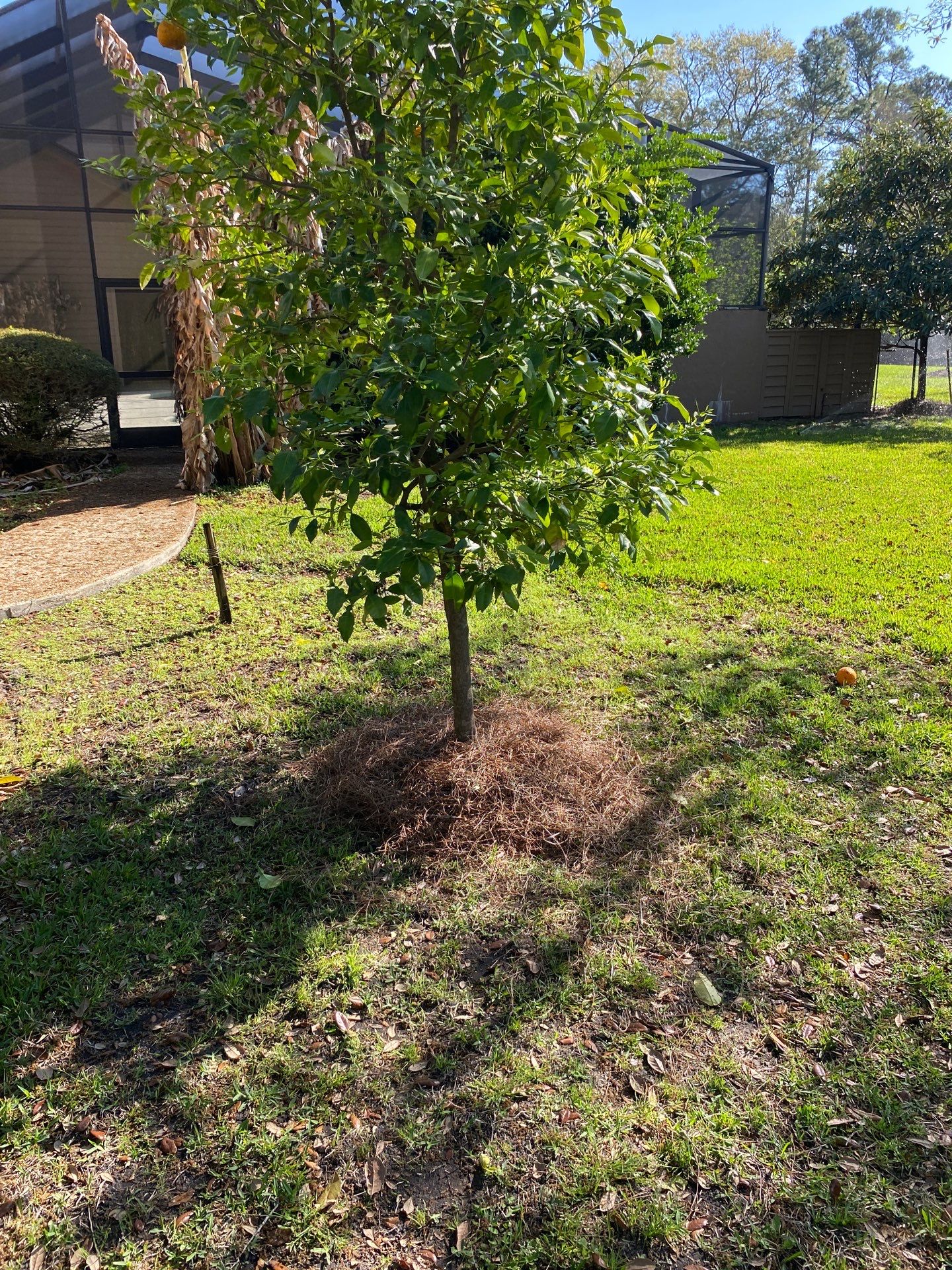 Deerwood Resident | Landscaping by ProGreen Services