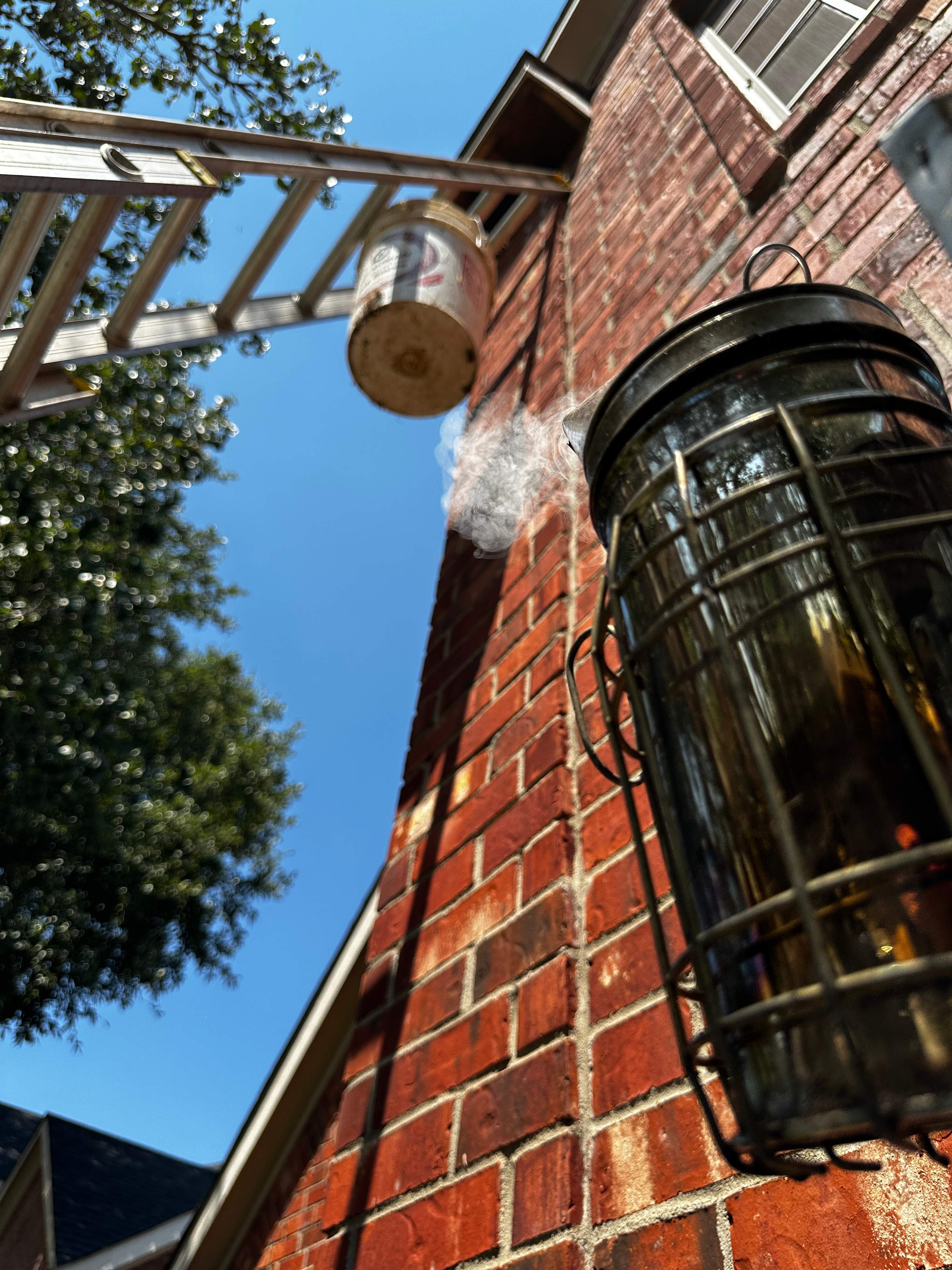 Extra High Up by Rockwall Honey Bee Company