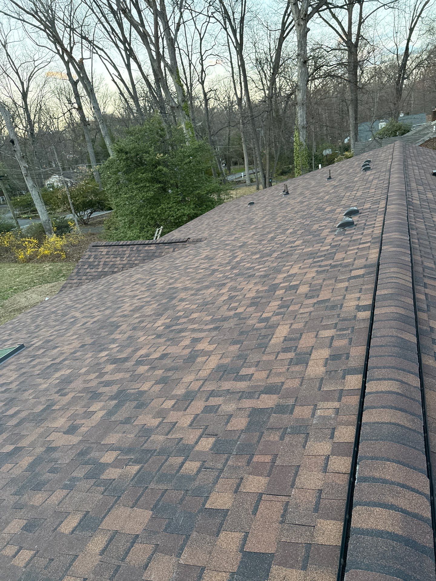 Fairfax: Residential Roof Replacement with CertainTeed Landmark Pro in Max Def Burnt Sienna by RM Banning, Inc.