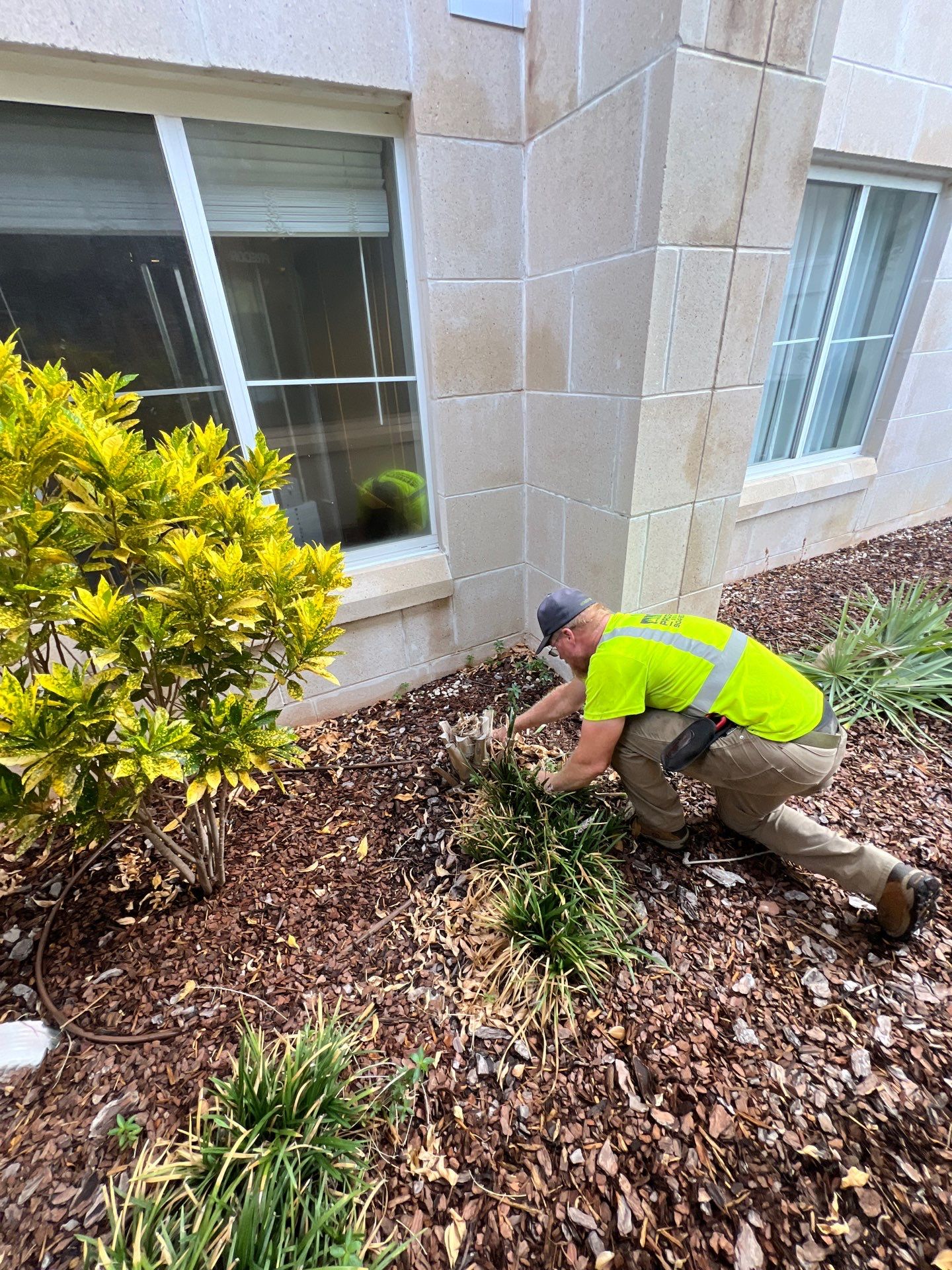 Homewood Suites | Tree Service by ProGreen Services