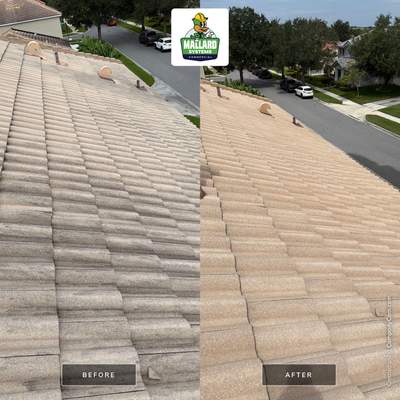 Full Exterior House Wash and Concrete Tile Roof Cleaning in Winter Garden
