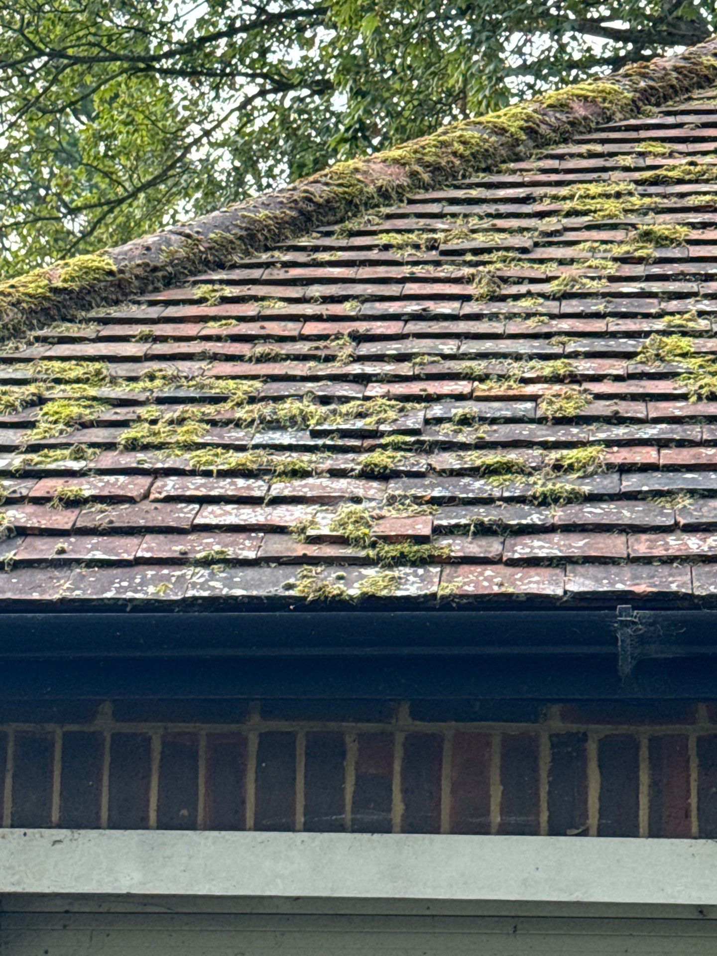Roof - Driveway Clean -Patio Clean by Ges Exterior Cleaning ltd