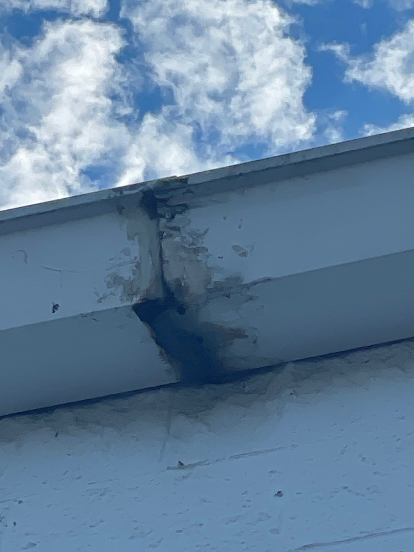 7-Inch Seamless Gutters for Commercial Installation in Sarasota FL by Gutter Professors