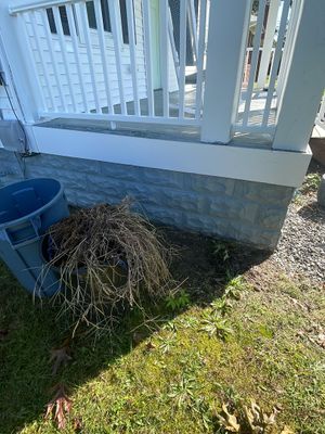 House SoftWash and Deck Refresh