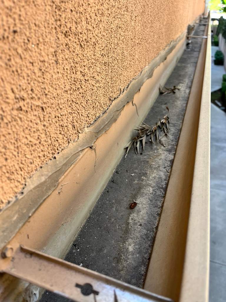 HOA Gutter Cleaning South Mentor Ave Pasadena by Palm Coast Solar Cleaning