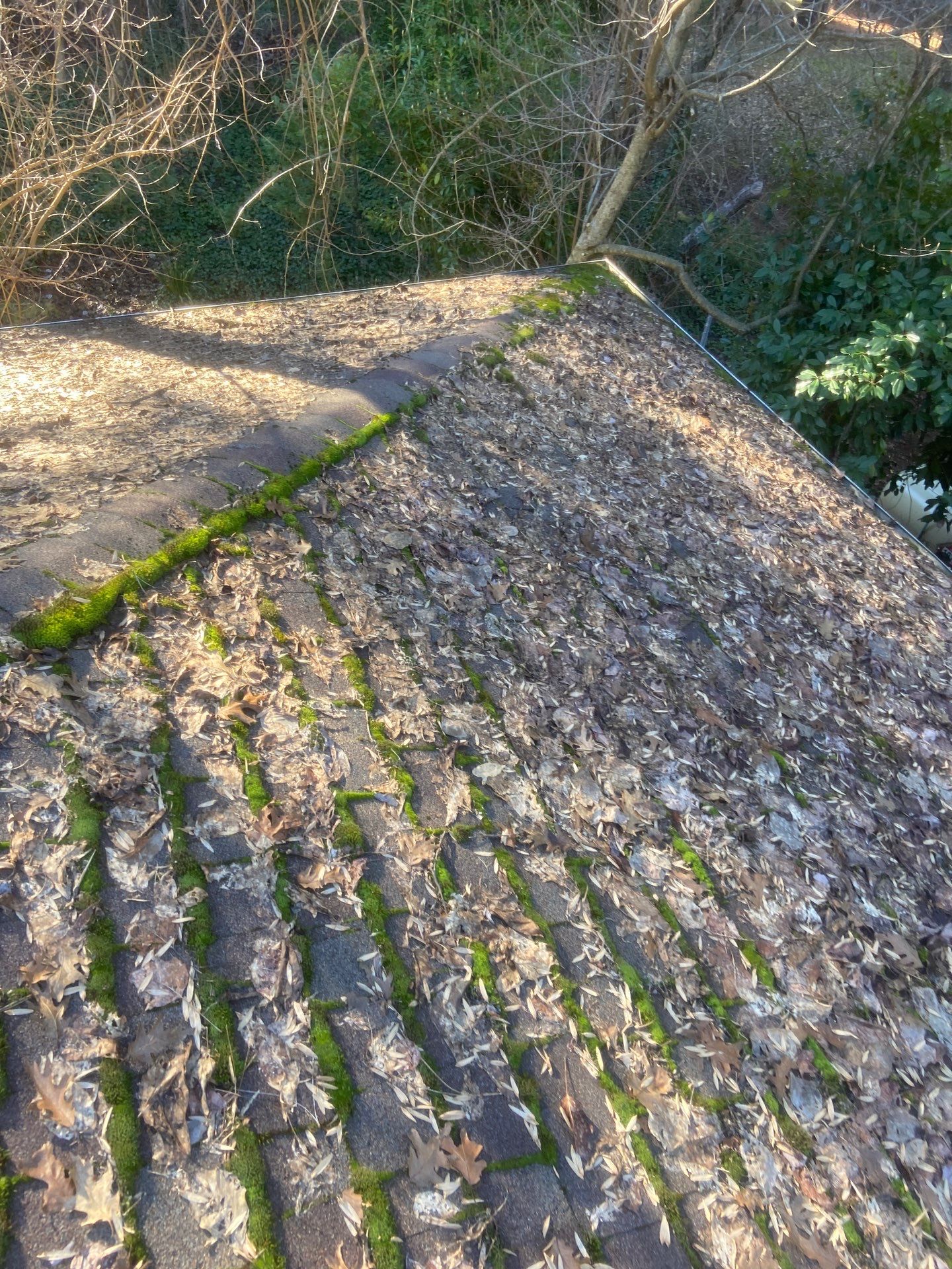 Roof Rejuvenation using Roof Maxx Treatment by Roof Maxx of Folsom